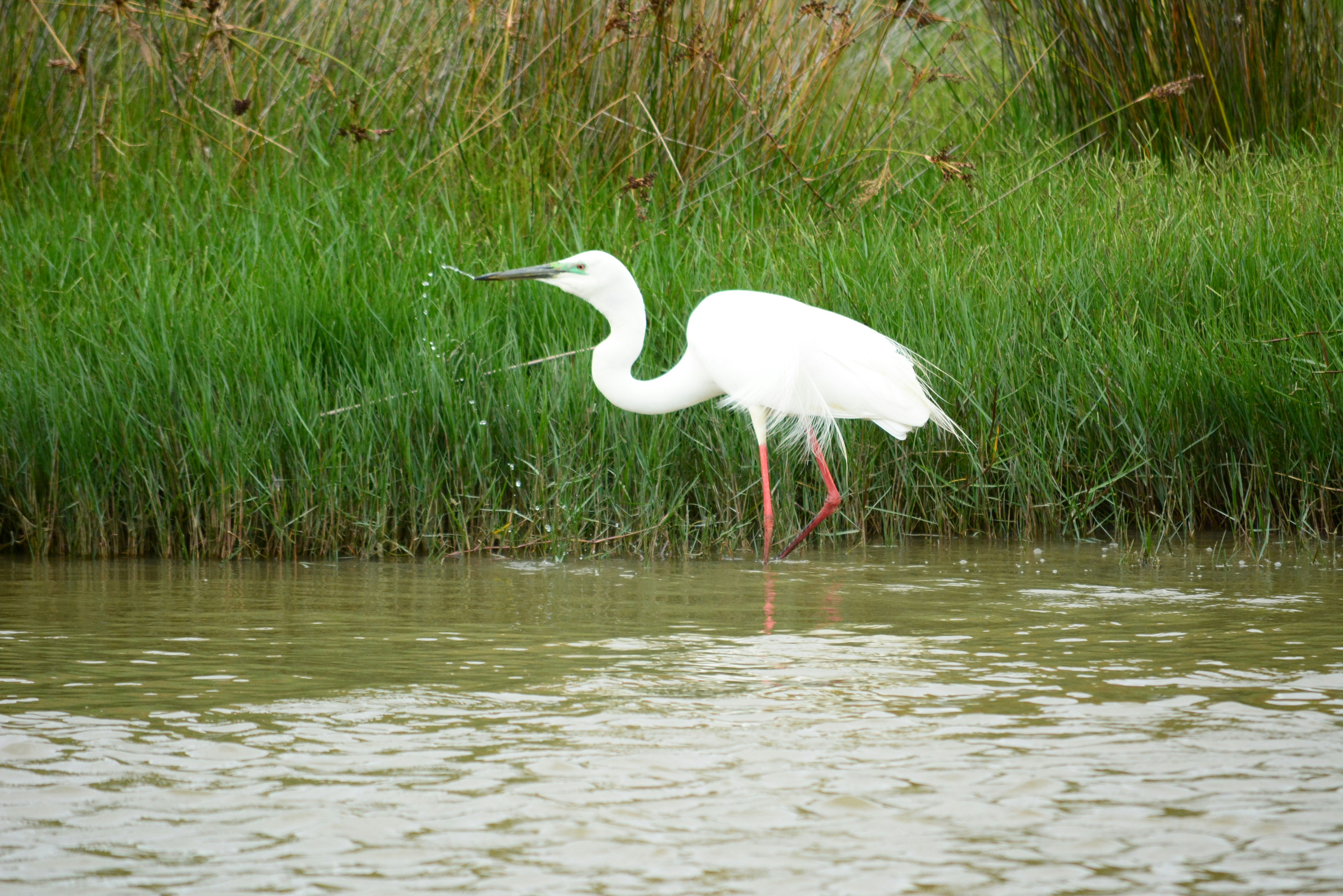 Photo by richard7seals