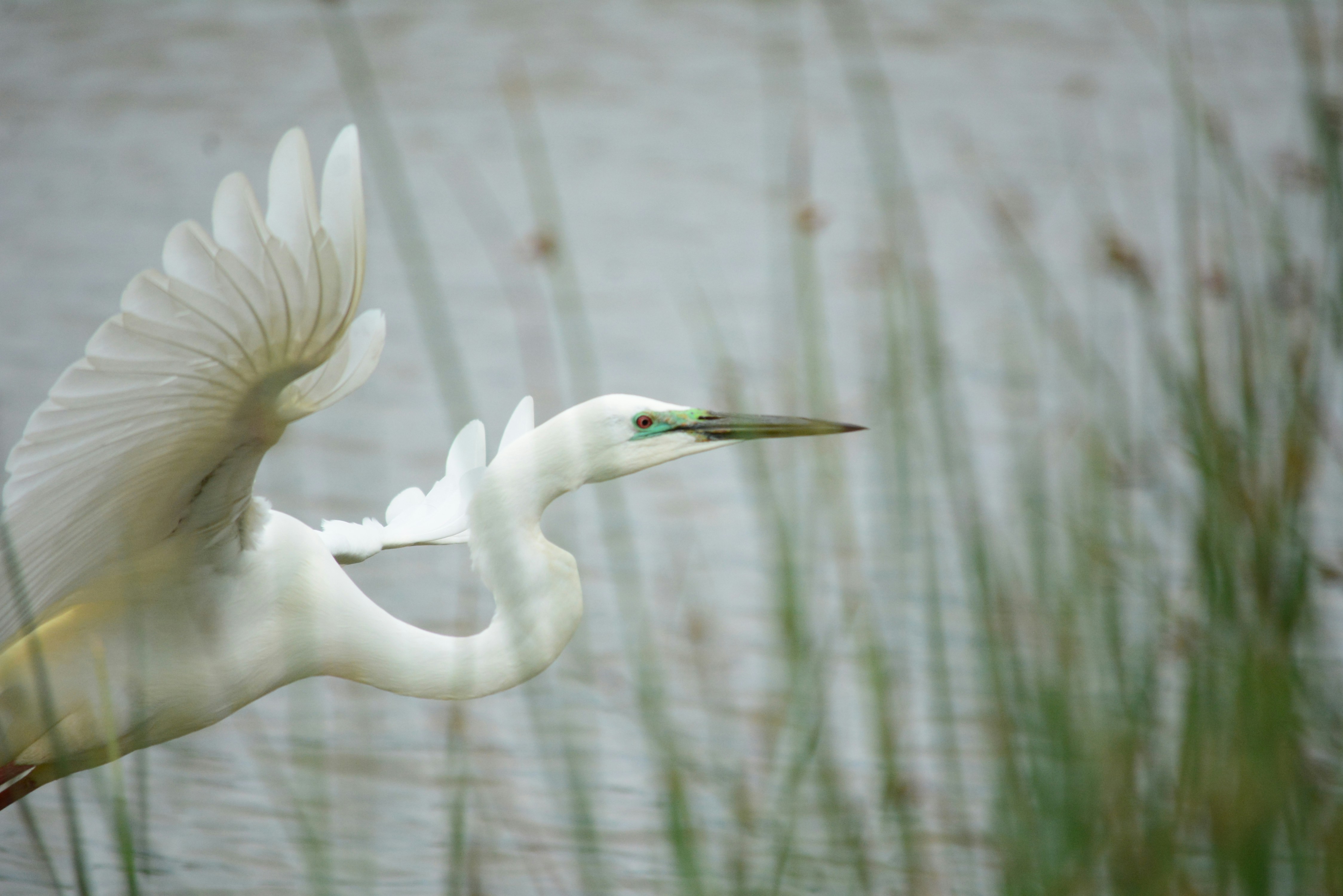 Photo by richard7seals