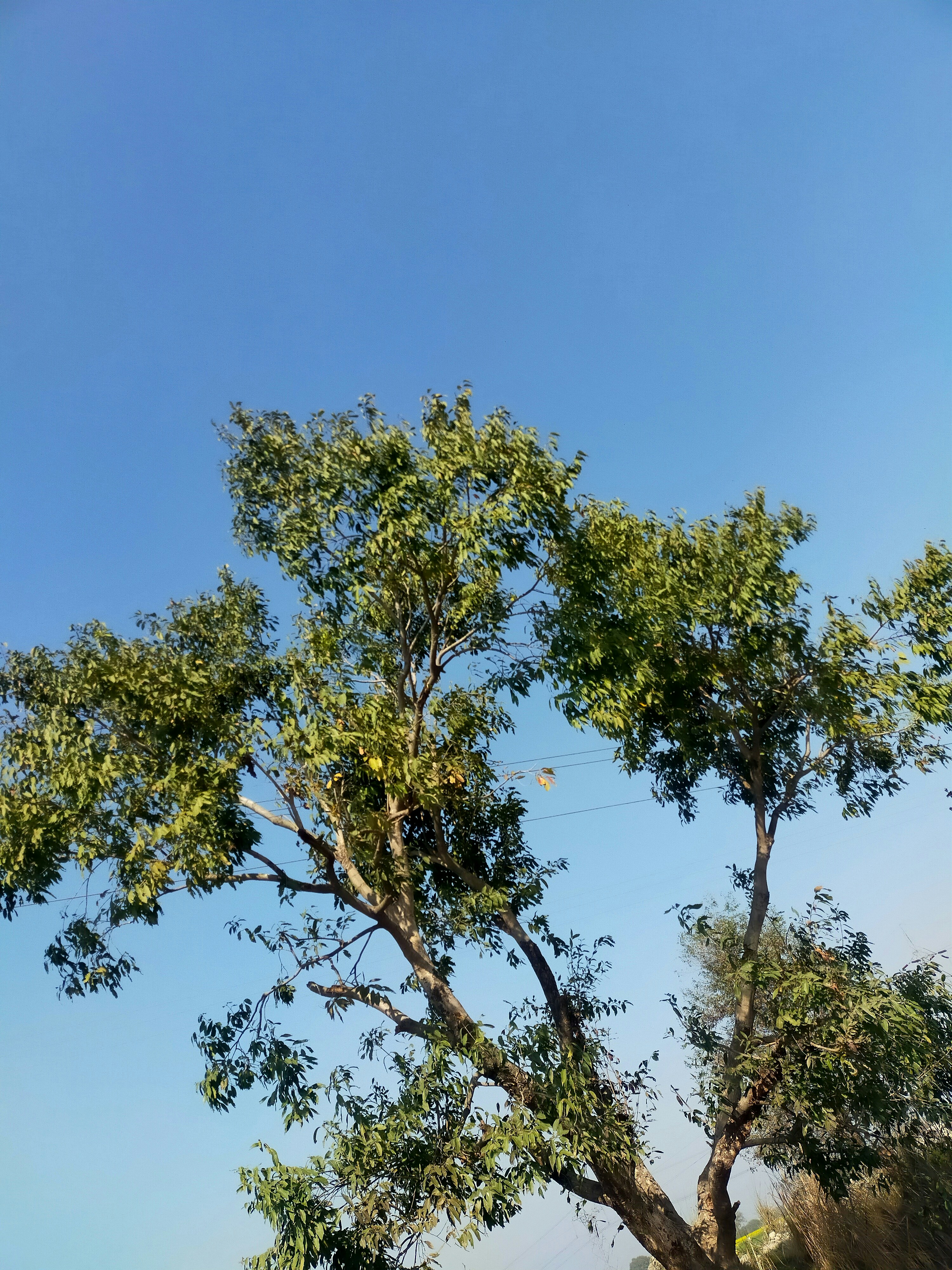 Photo by shivams4832a