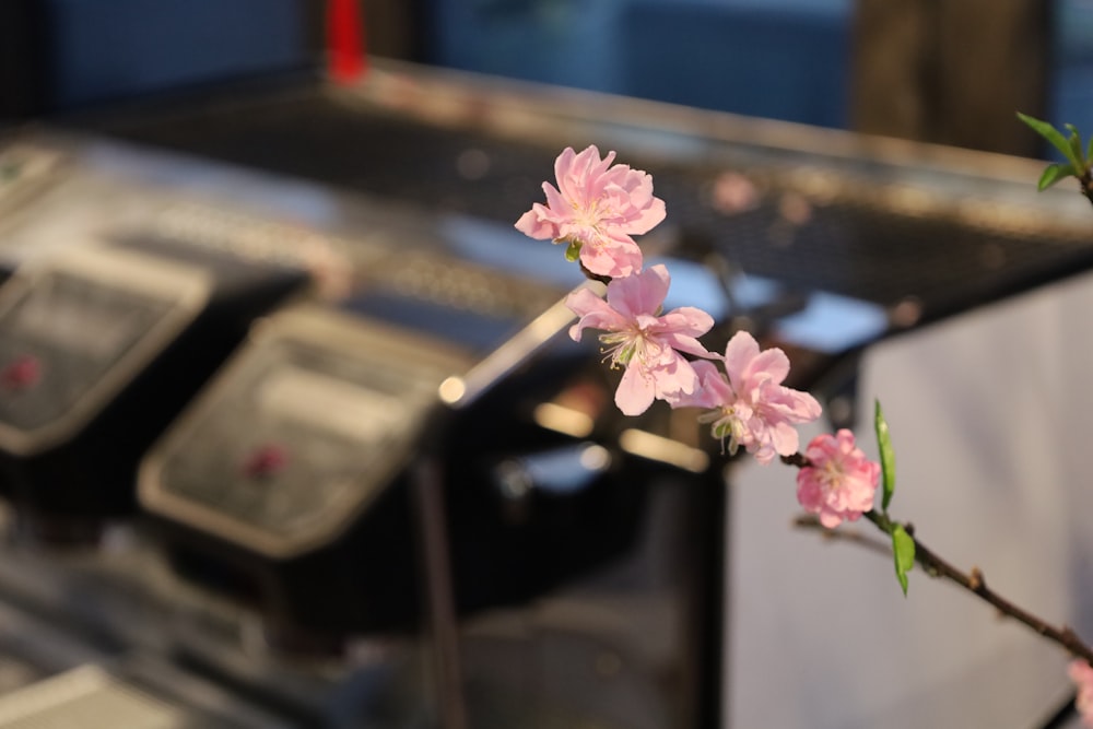 a branch with pink flowers in front of a machine