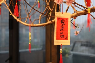 A decorative wooden plaque with Chinese calligraphy hangs on a branch adorned with vibrant red tassels and small ornaments. The background appears to be a blurred interior space.