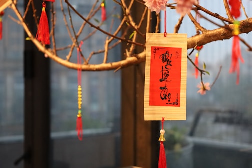 A decorative wooden plaque with Chinese calligraphy hangs on a branch adorned with vibrant red tassels and small ornaments. The background appears to be a blurred interior space.
