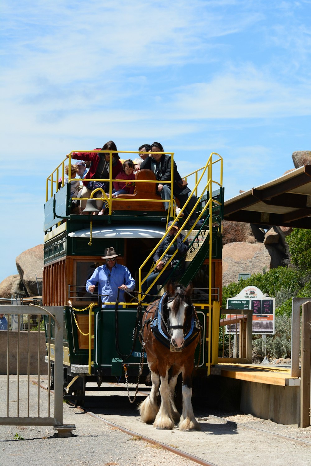 Un caballo que está parado frente a un autobús