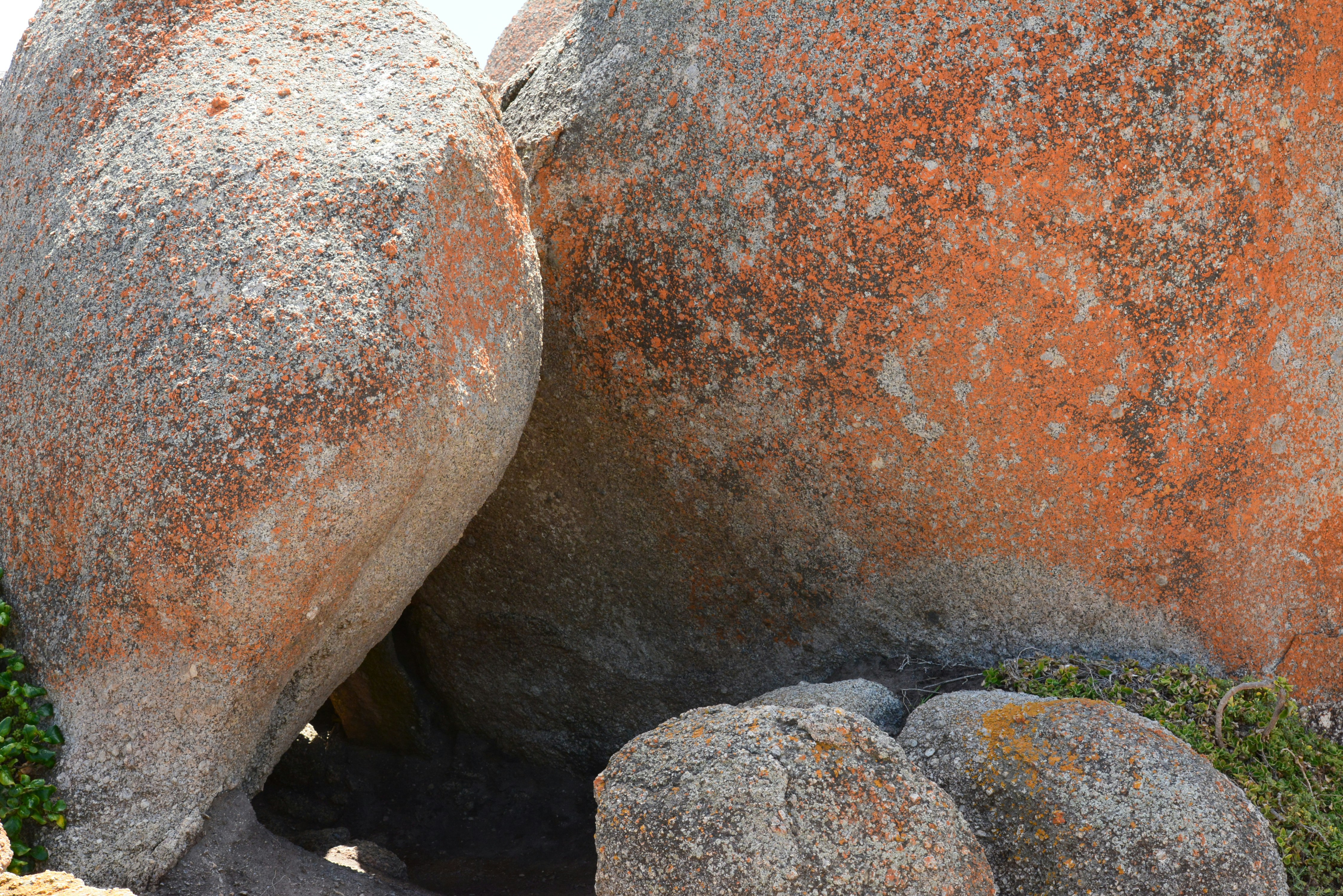 Photo by richard7seals