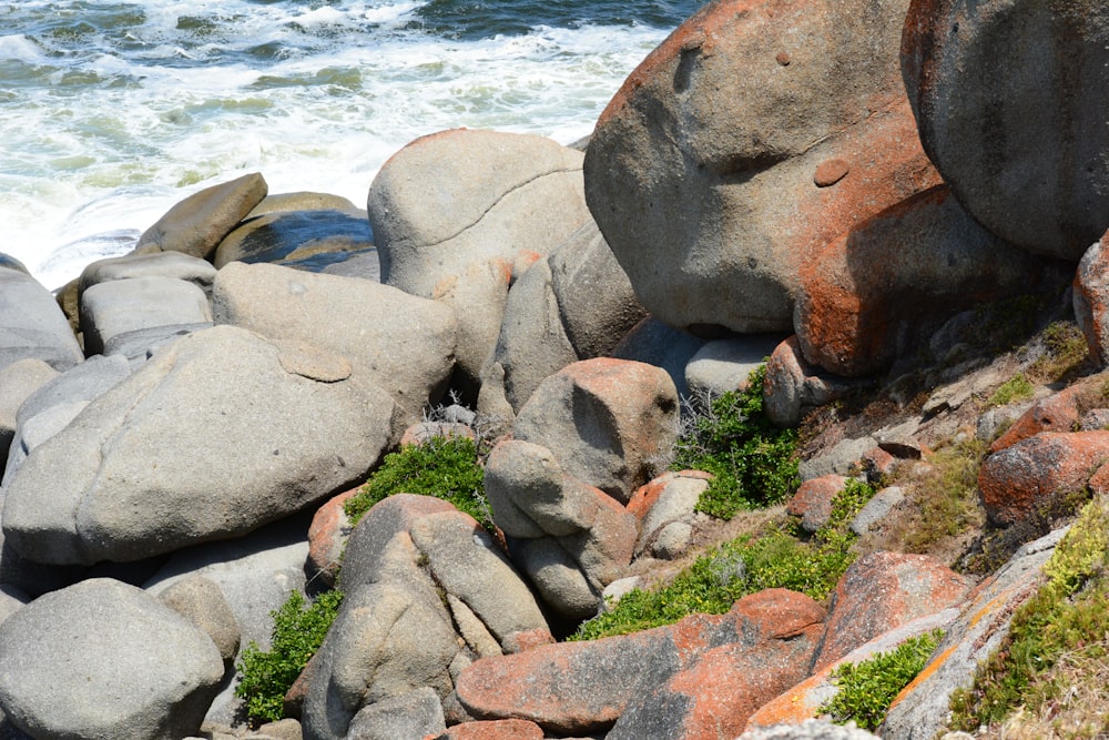 some rocks and grass on the shore of the ocean