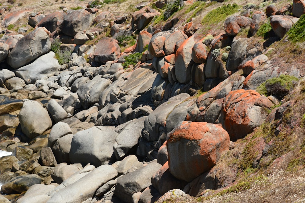 Una playa rocosa con un montón de rocas