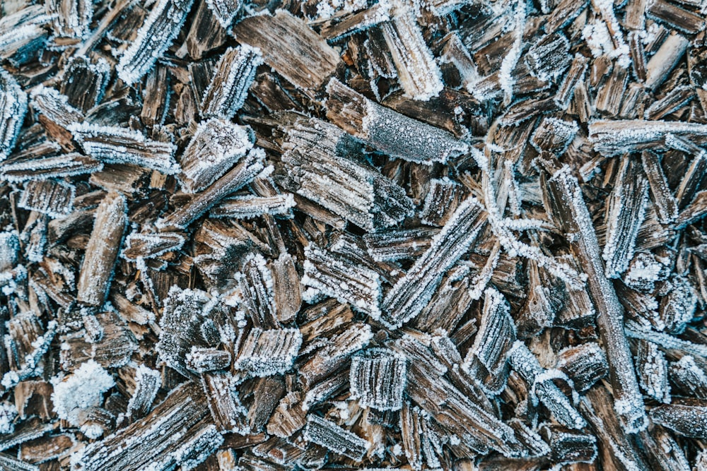 a pile of wood shavings covered in ice