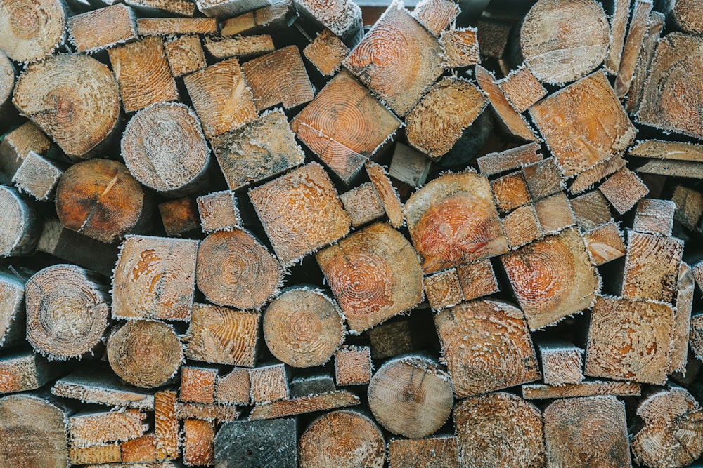 a pile of cut logs sitting next to each other