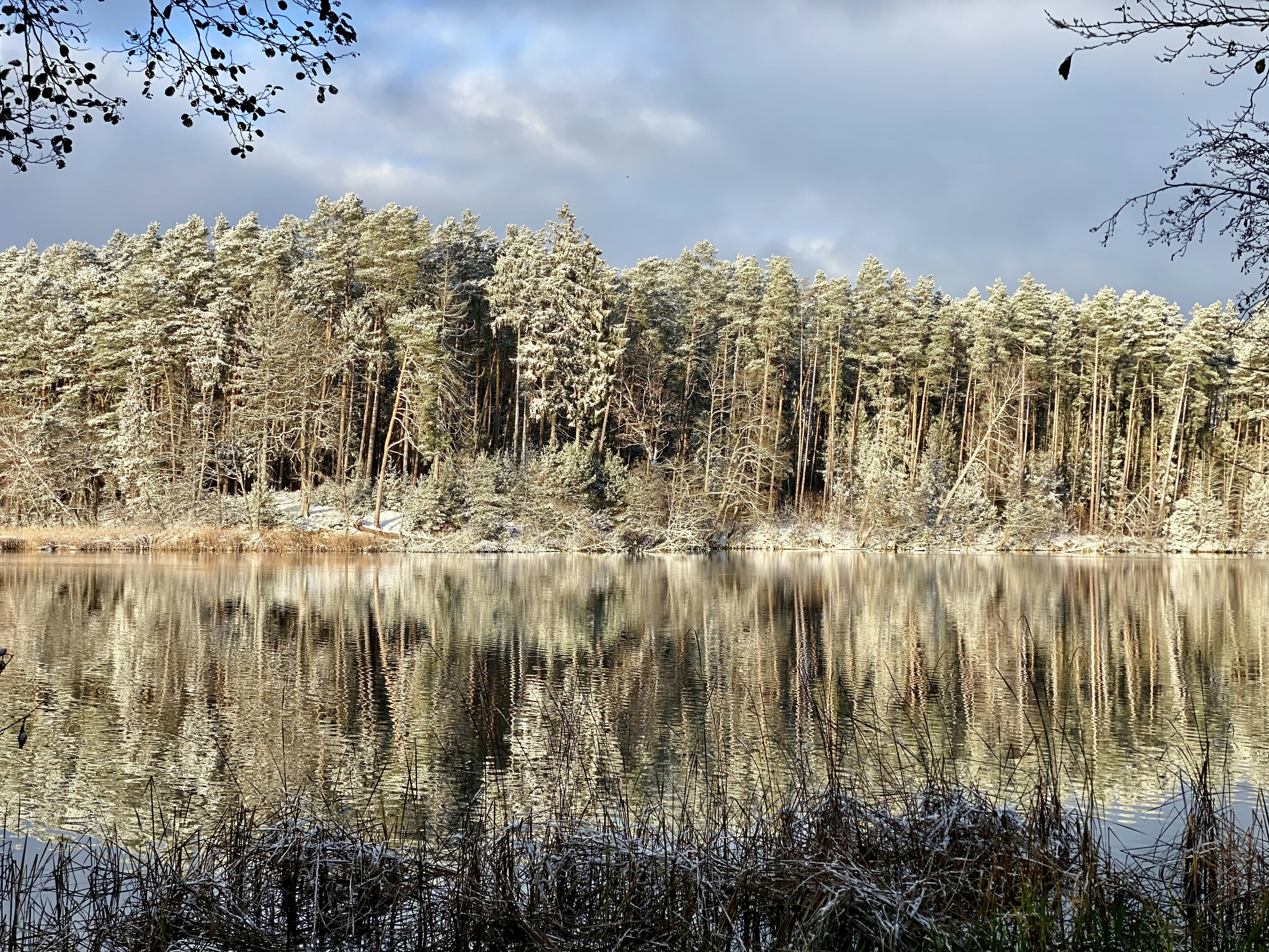 Photo by lysenkokostyantyn