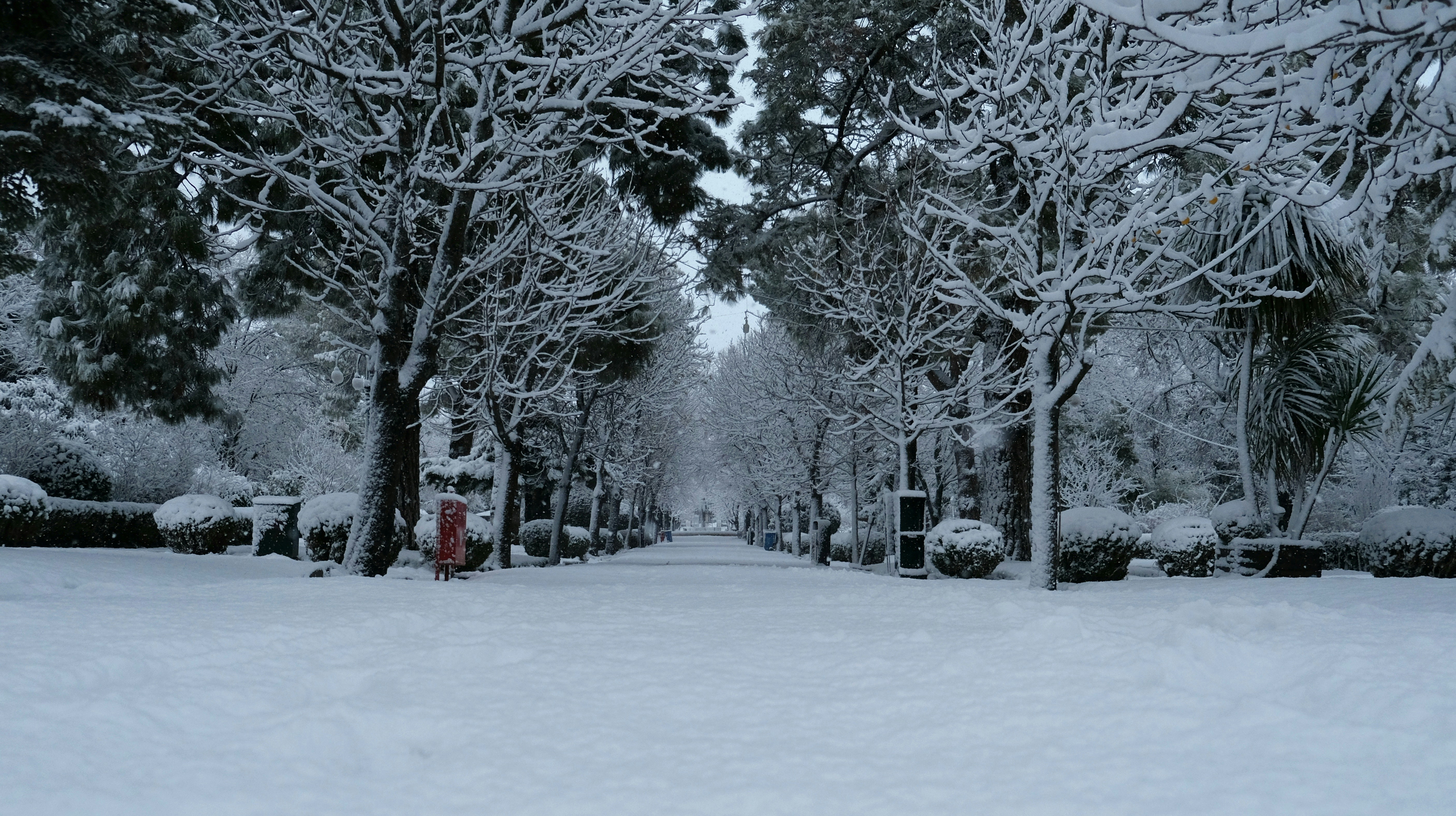 Ein roter Hydrant mitten in einem schneebedeckten Park