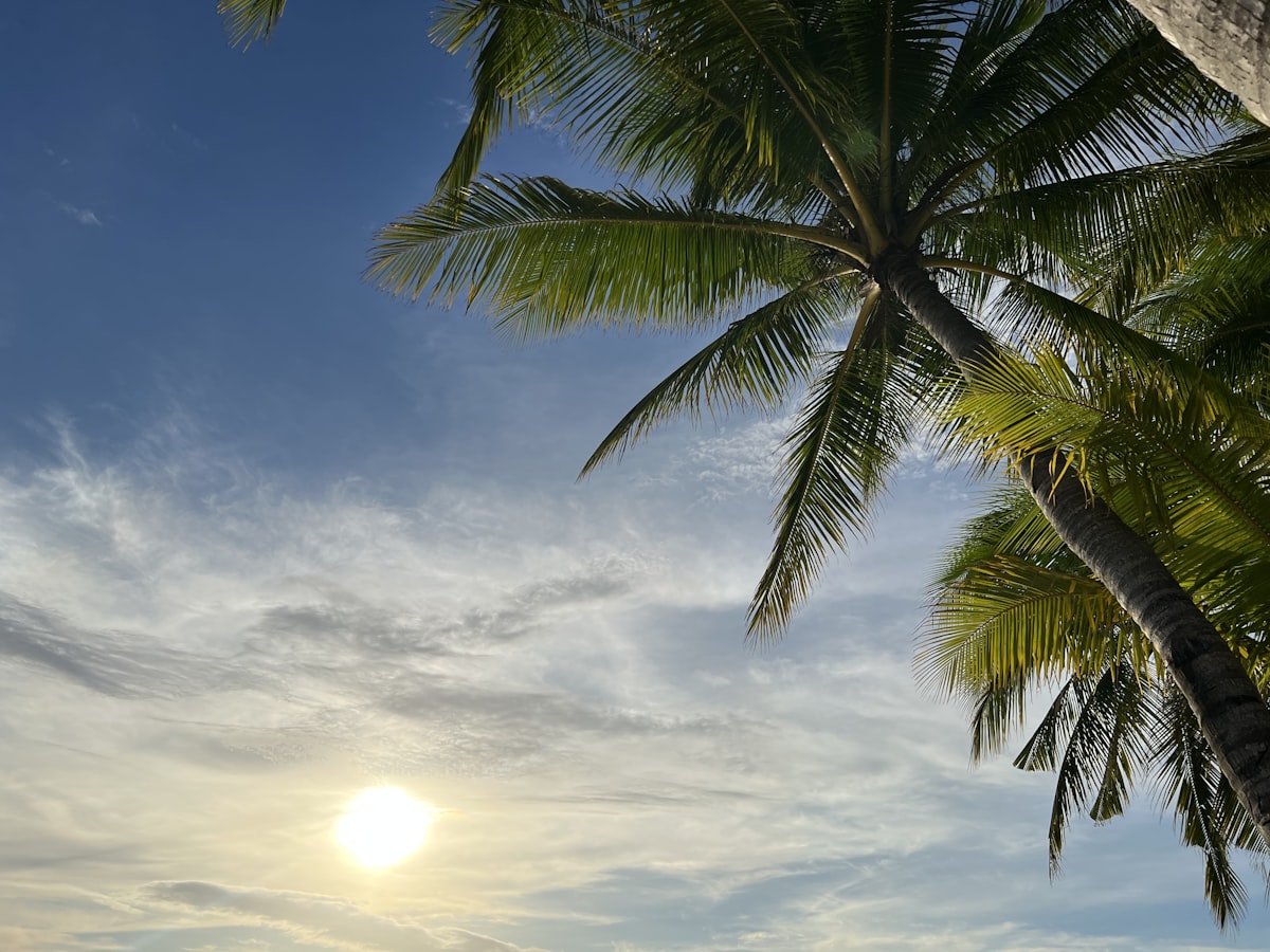Puka Shell Beach