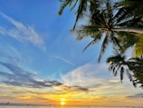 A breathtaking sunset over a tranquil beach with palm trees.