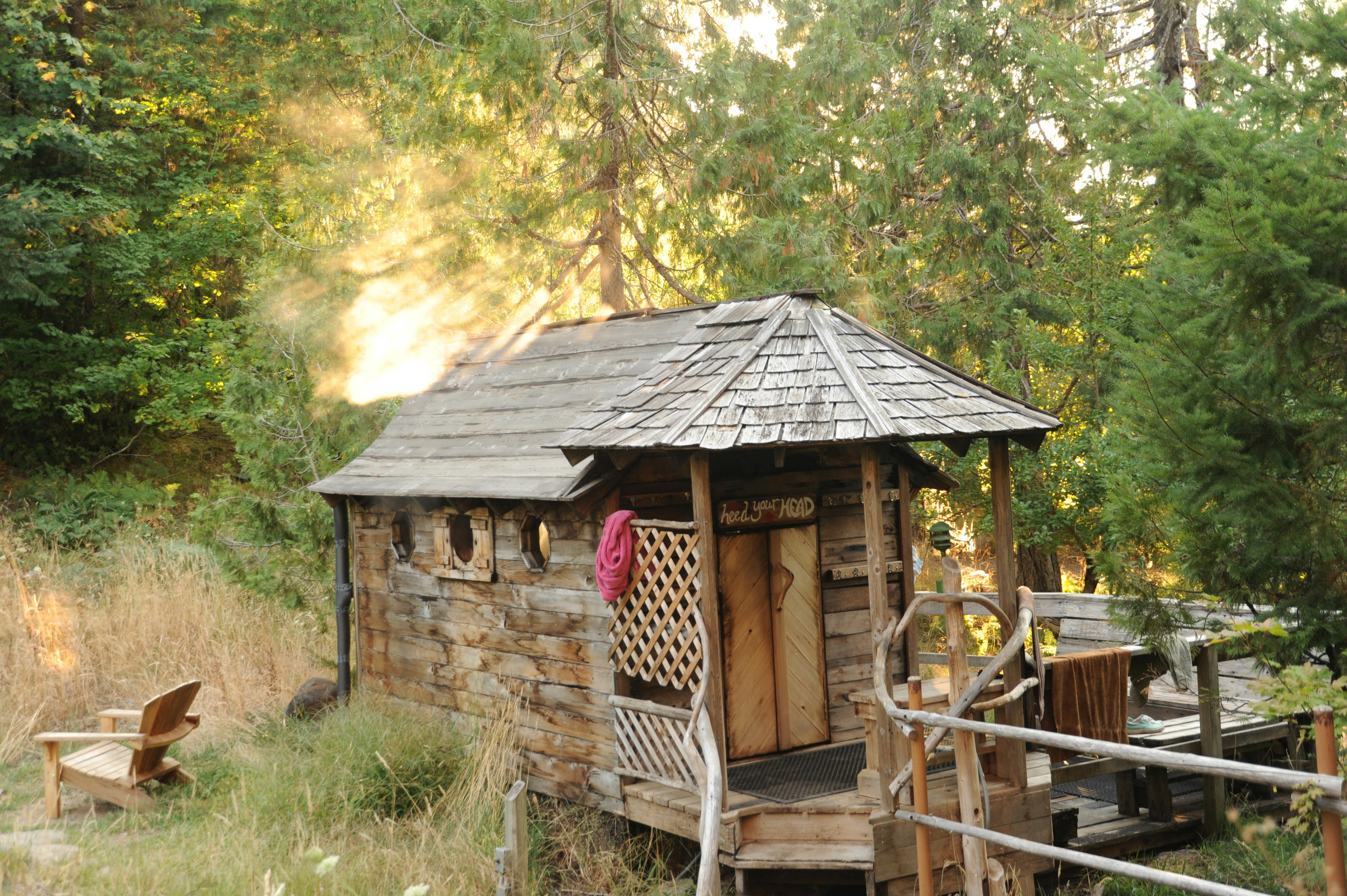 a sauna small wooden cabin in the middle of a boreal forest