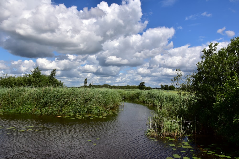 a river running through a lush green field under a cloudy blue sky