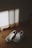 A pair of stylish sneakers placed on a wooden floor with a soft sunlight glow.