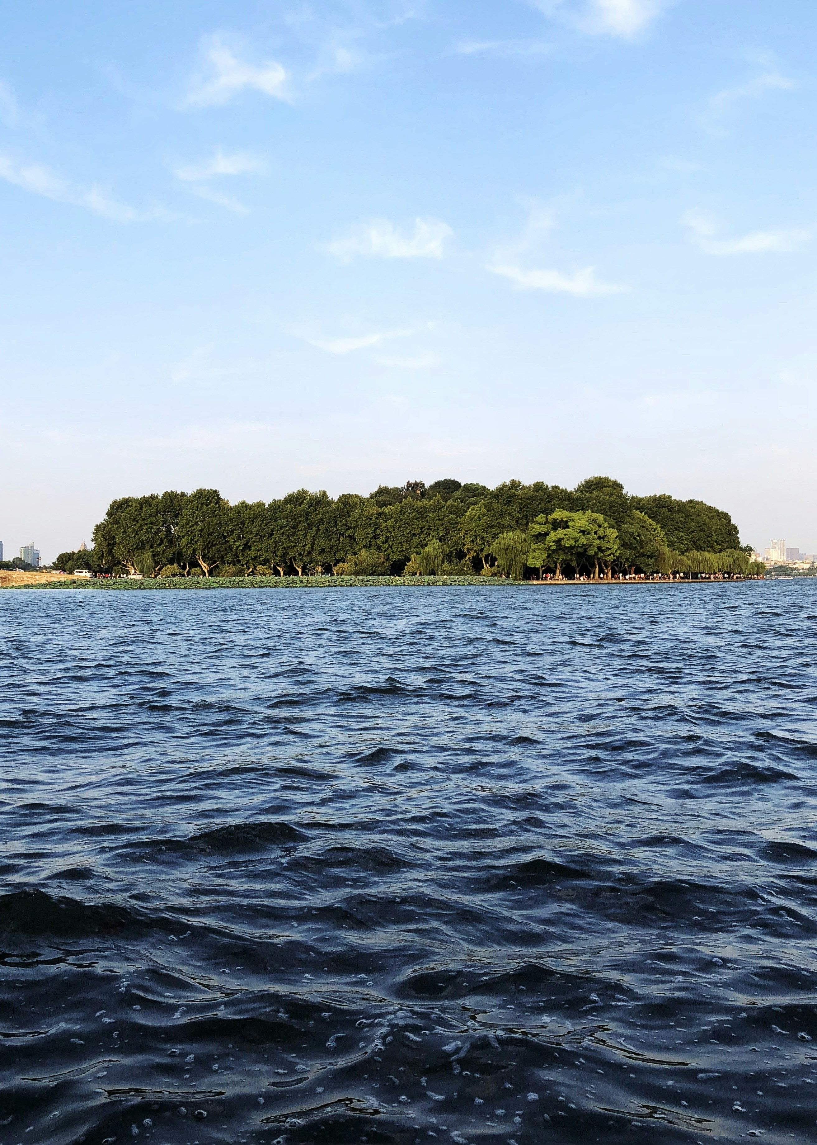 a body of water with a small island in the background
