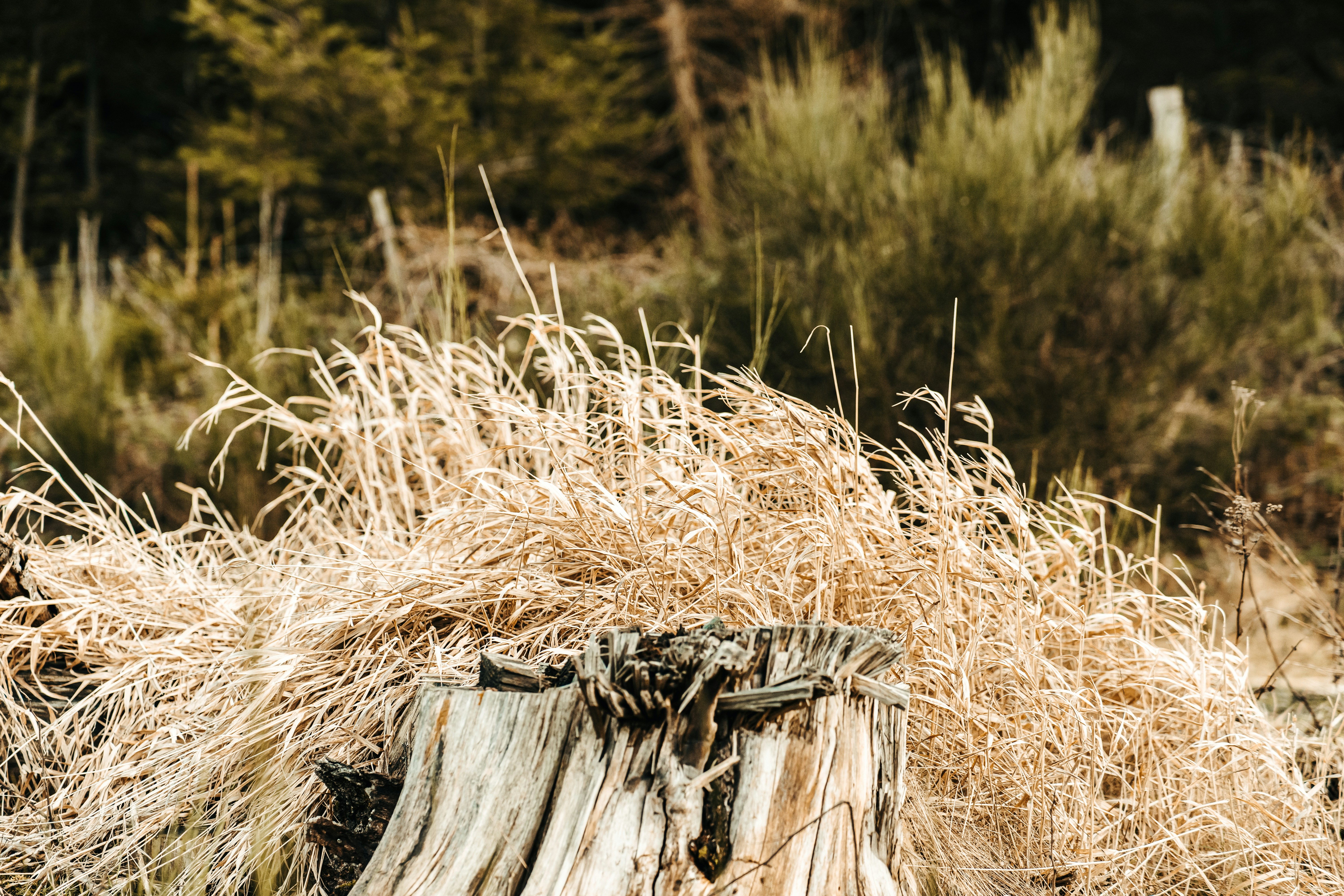 Photo by goesslgroup