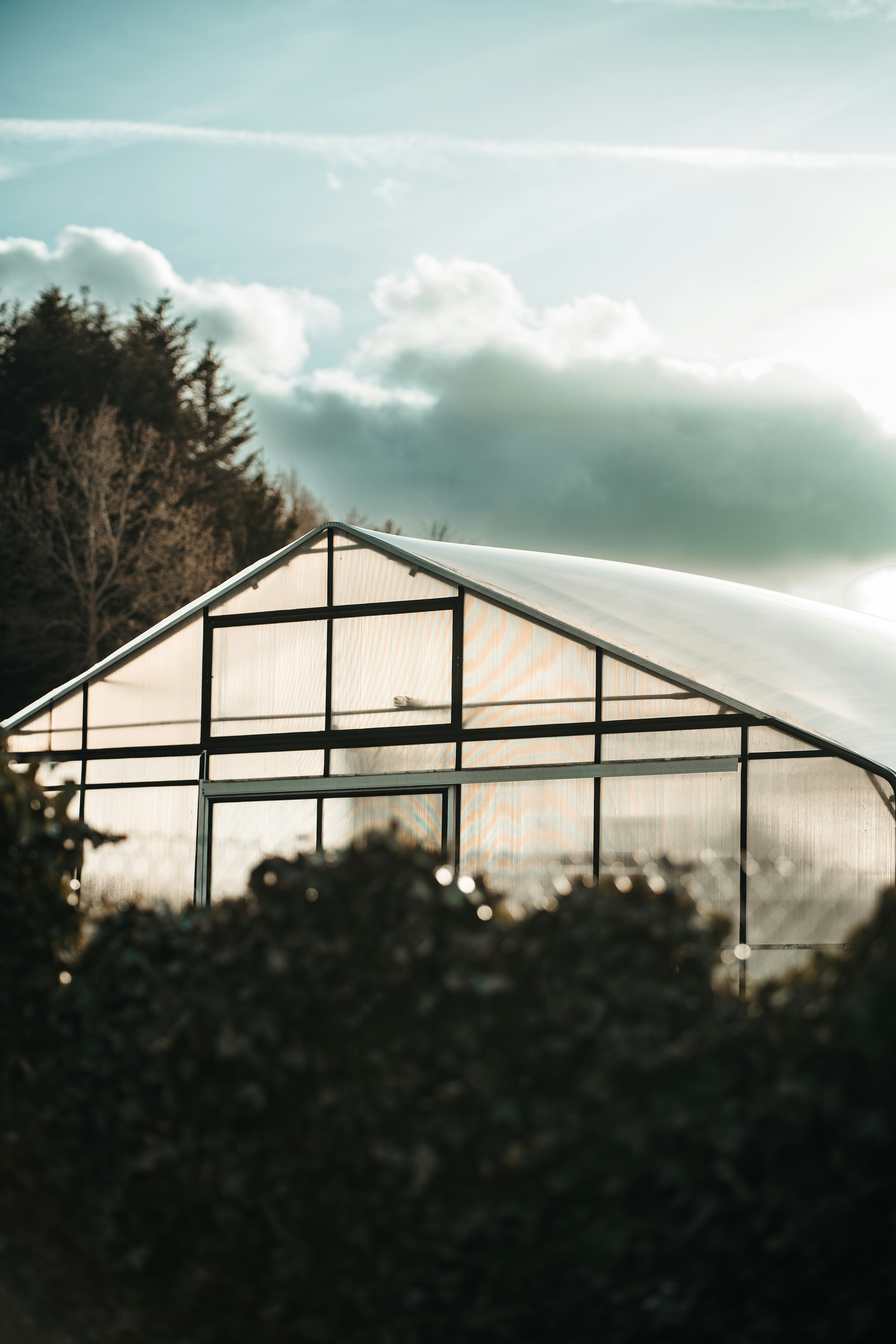 Photo by maksimdesign