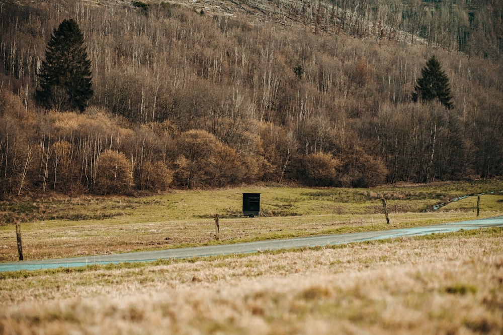 a road in the middle of a field with trees in the background