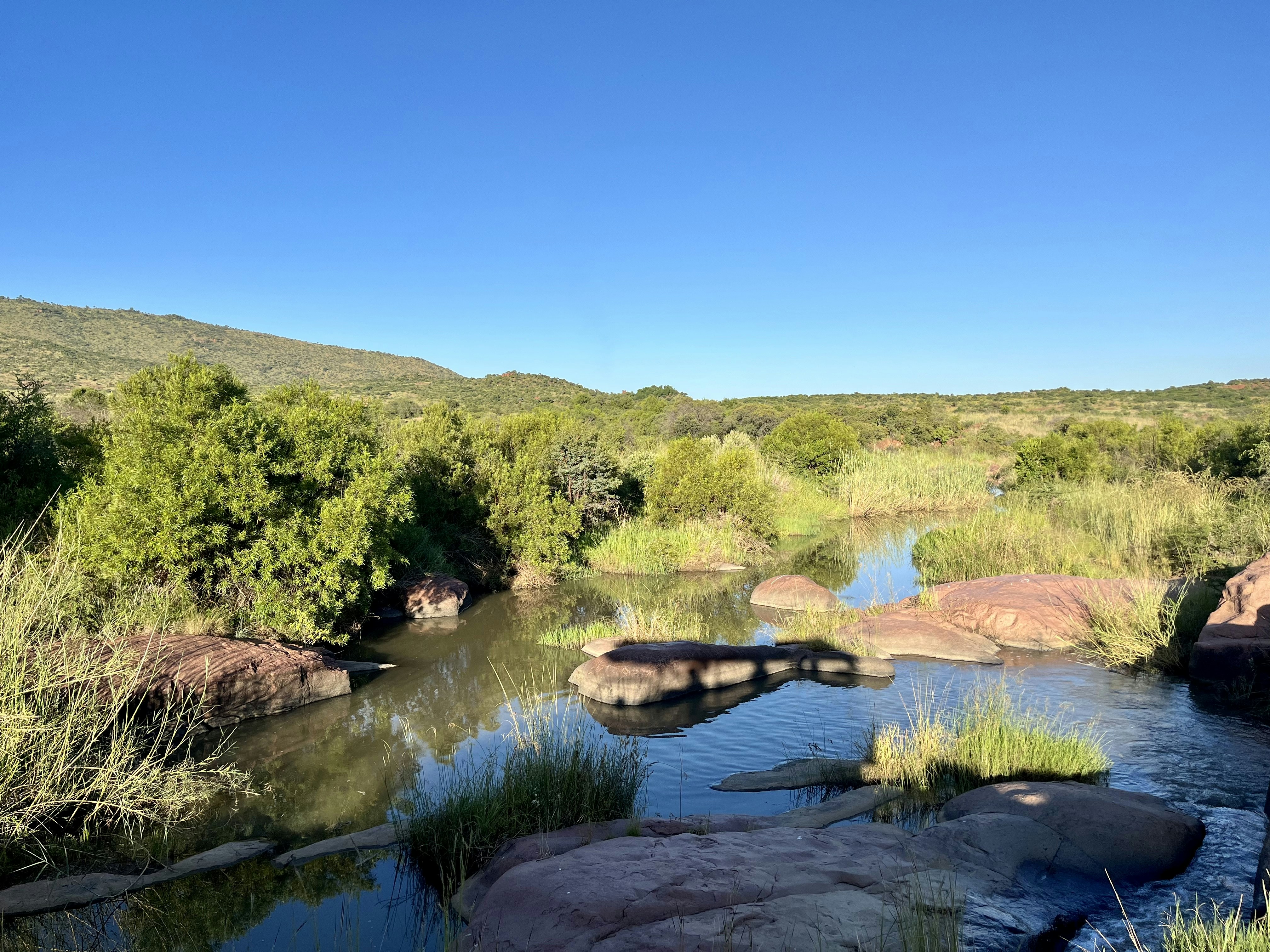 Photo by riondevilliers