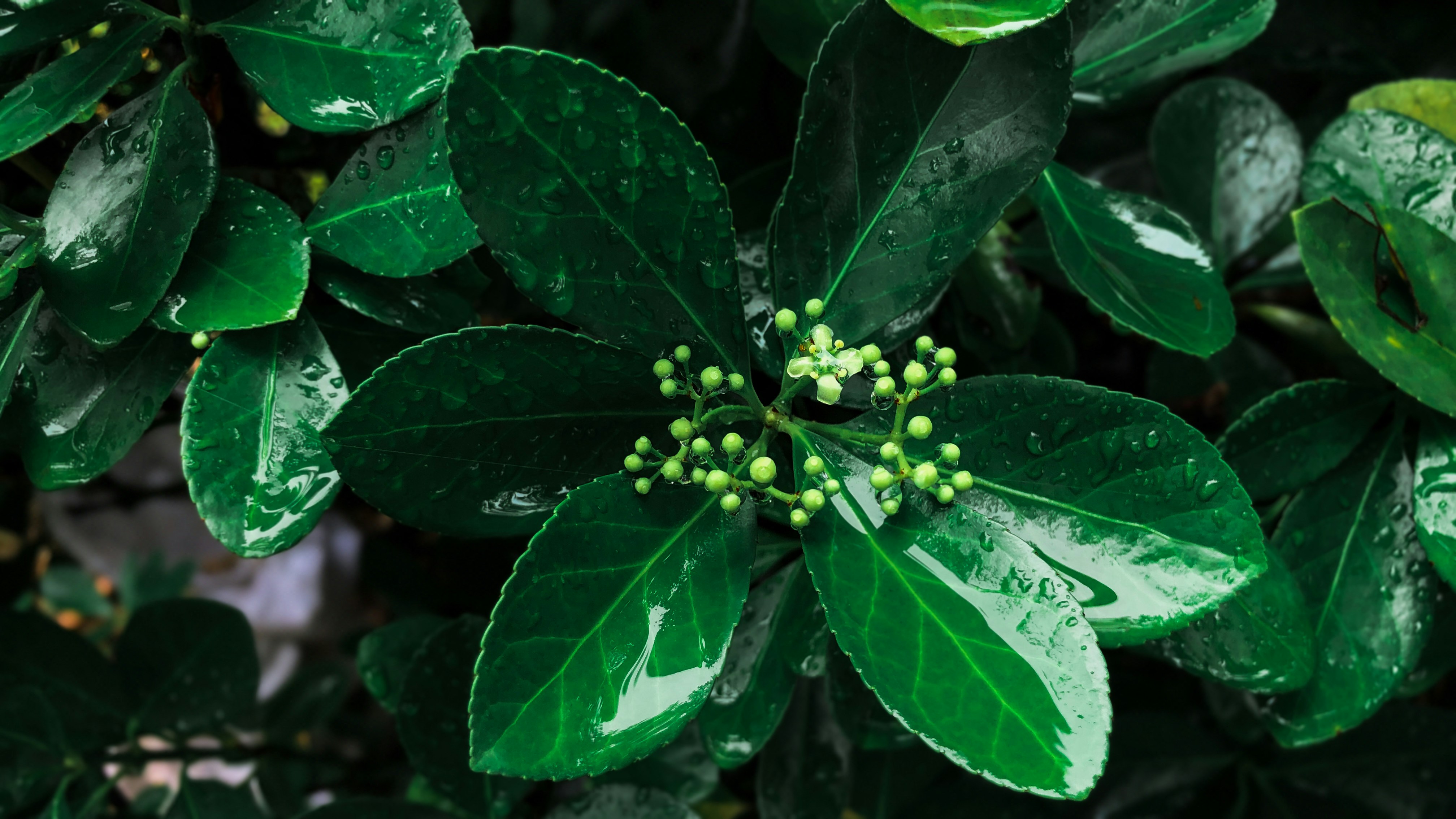 Photo by qq154098860