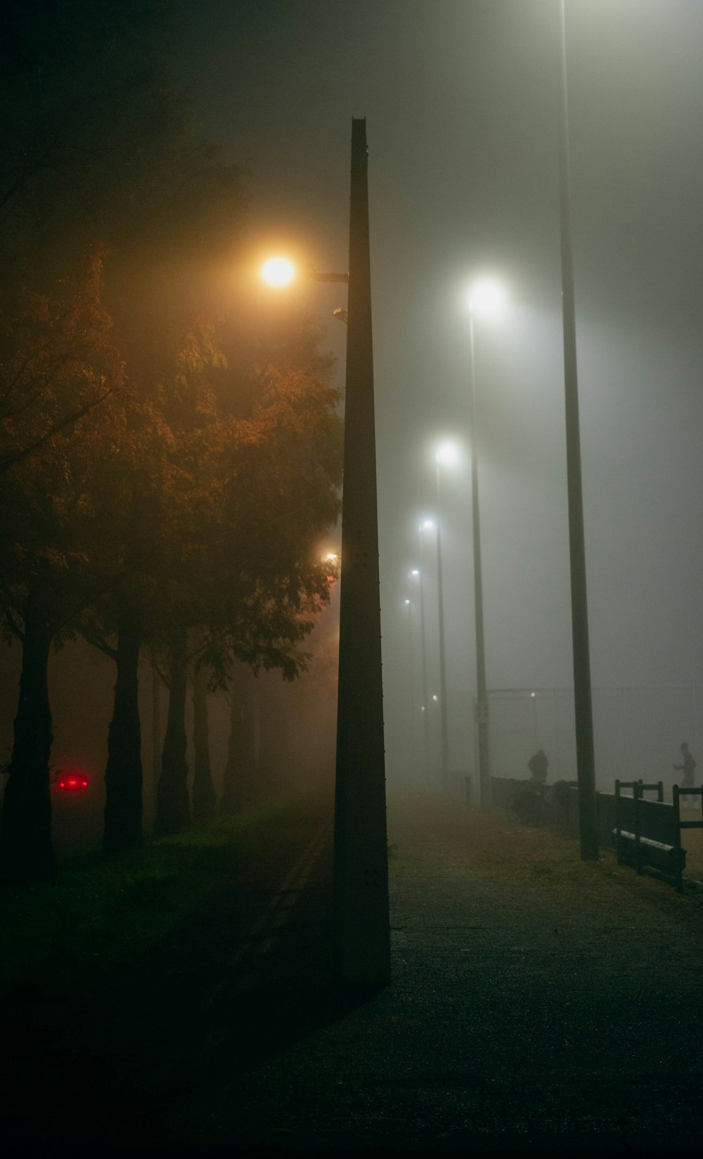 a foggy night in a park with street lights