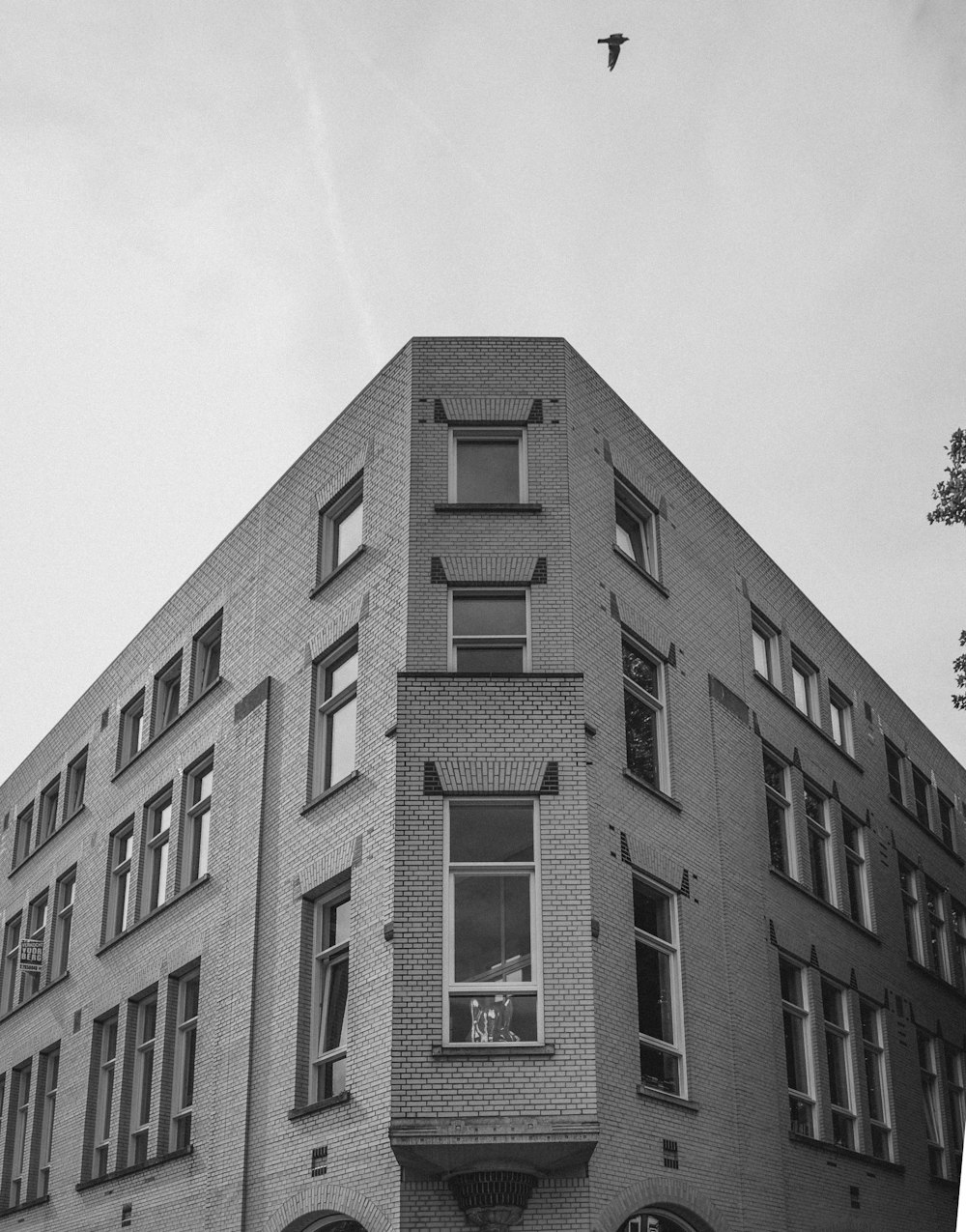 a black and white photo of a bird flying over a building