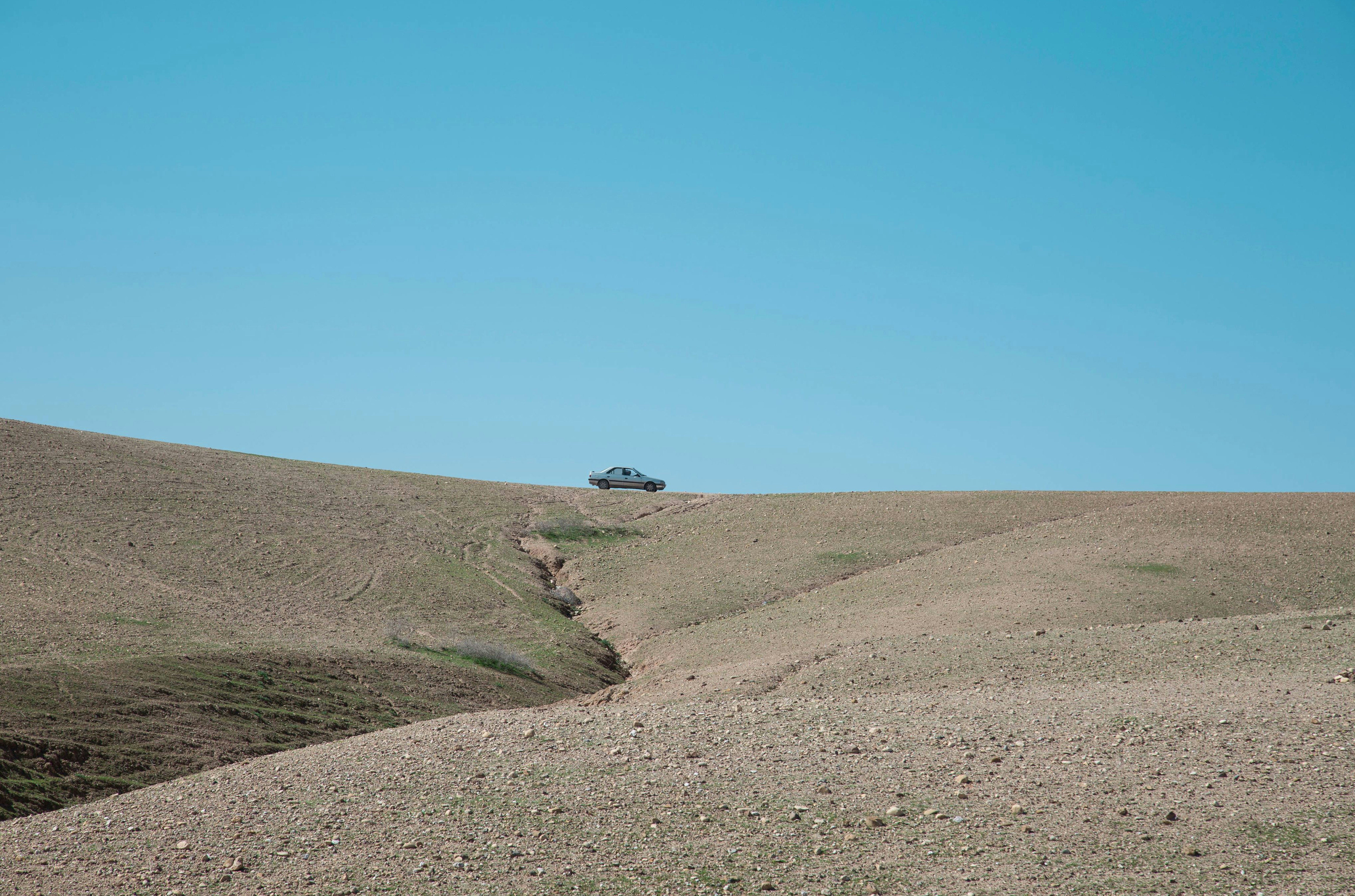 Photo by ancutamuresan