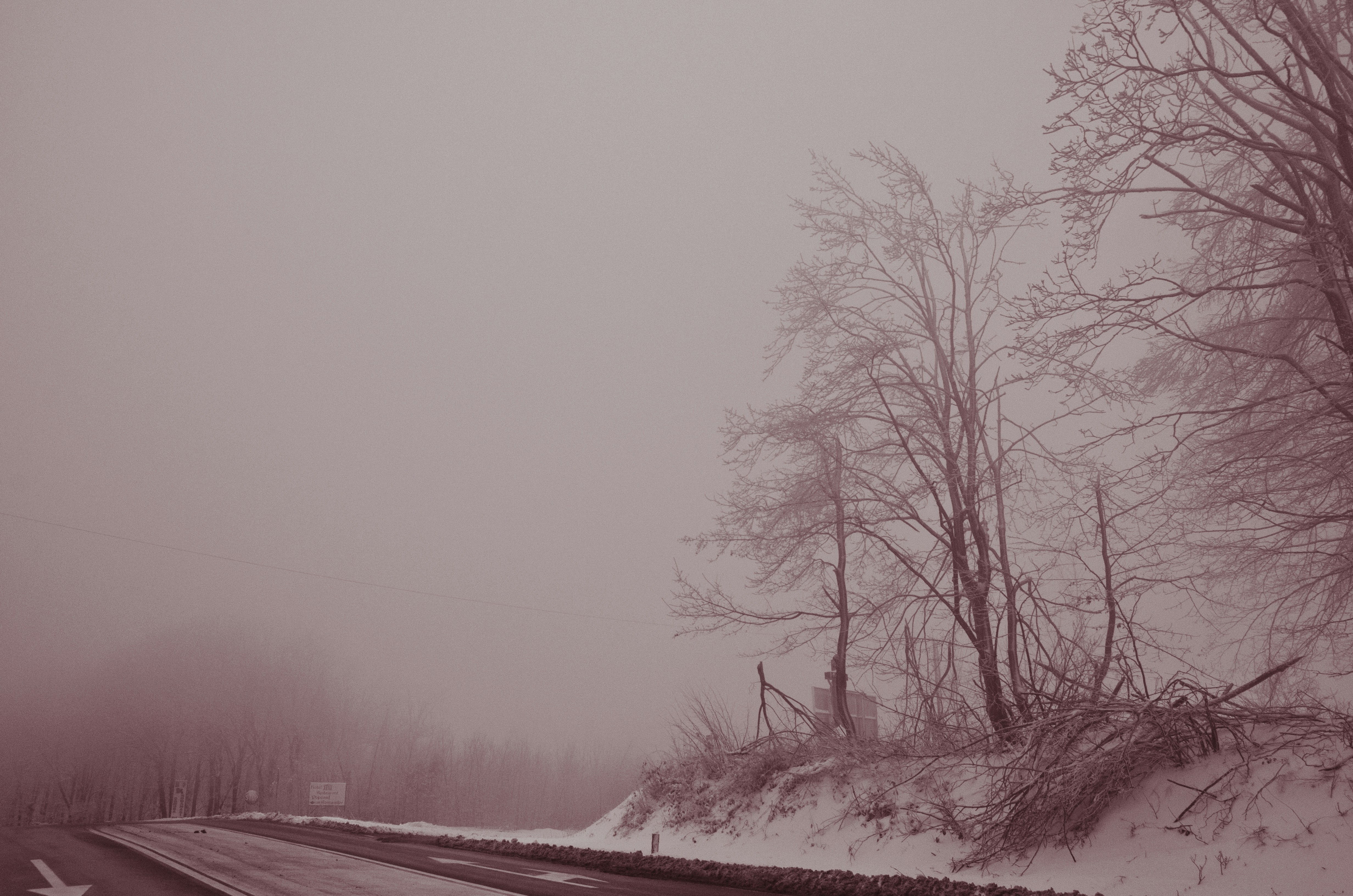 Photo by ancutamuresan