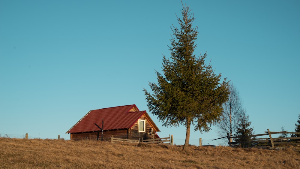 a small cabin on a hill with a tree in the foreground