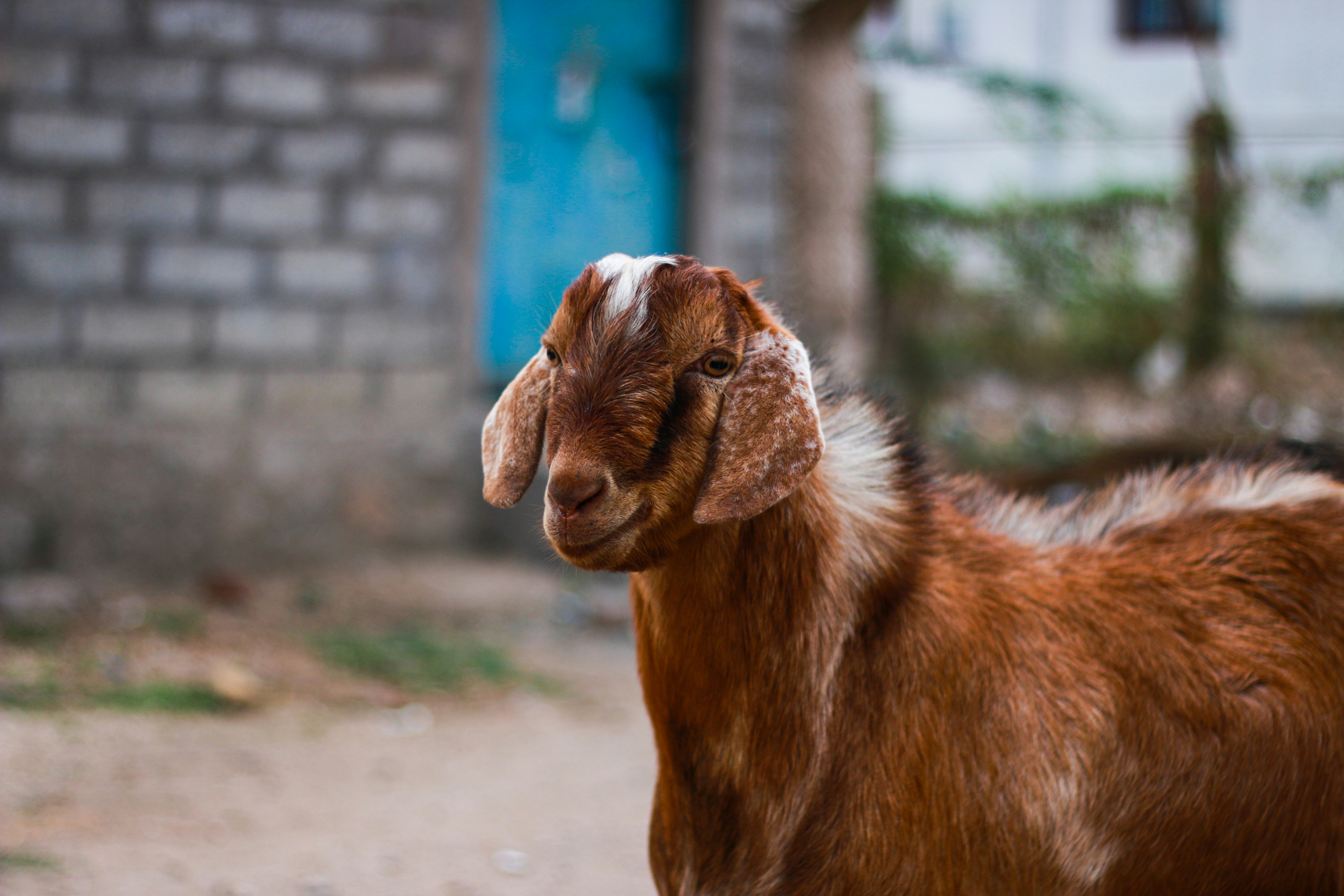 Photo by kannankanu
