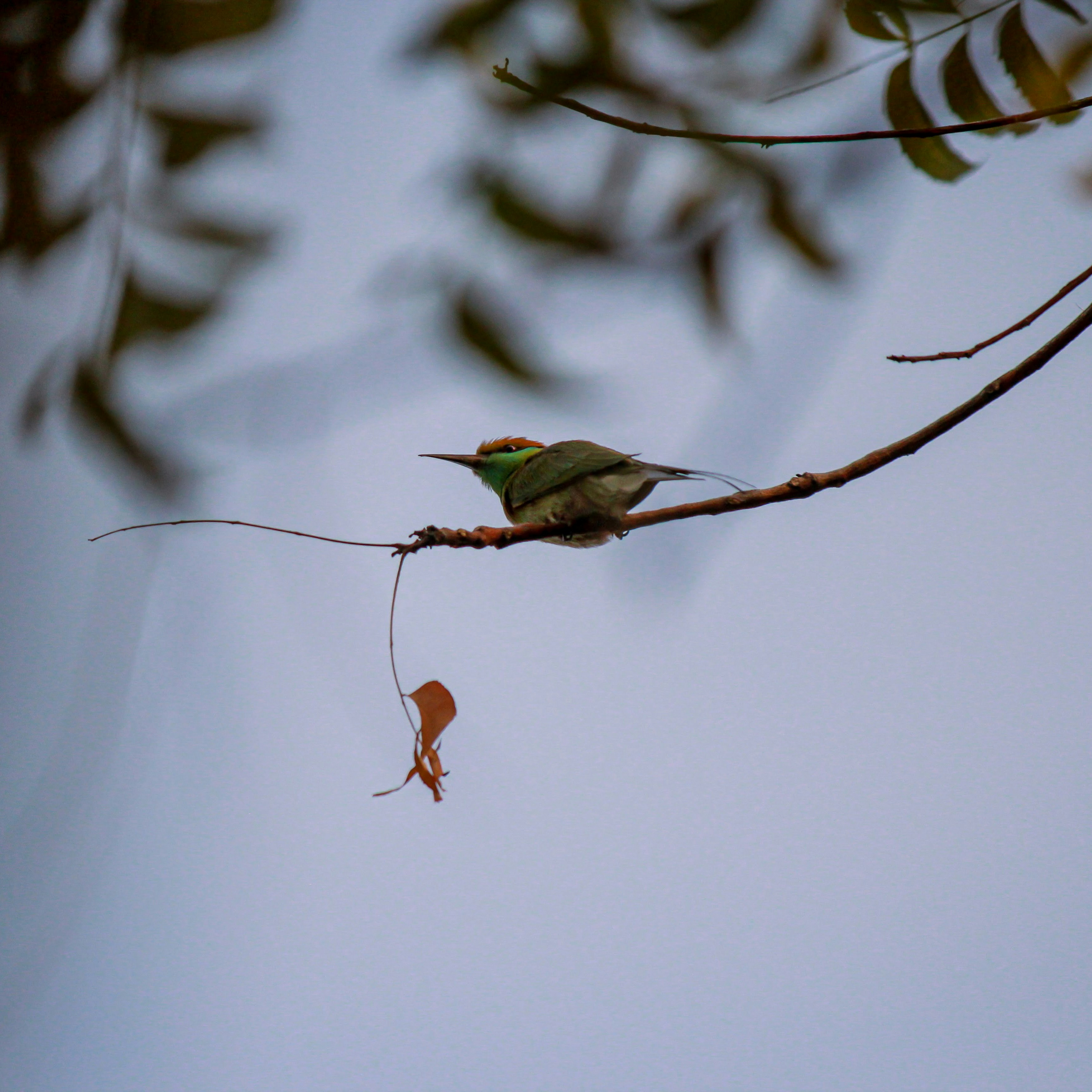 昭樹 - 錯失了太多，但對此無能為力。 自從患上憂鬱症，我一直不認為自己可以忍到時間線超過幾公分的地方，於是對未來毫無規劃，遇上好的機會壞的人一概全部捨棄，像是籌碼是開局前搶來的那般隨意去留。 所以時間一