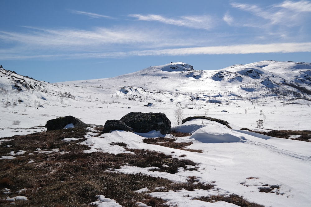 a snow covered mountain with rocks in the foreground