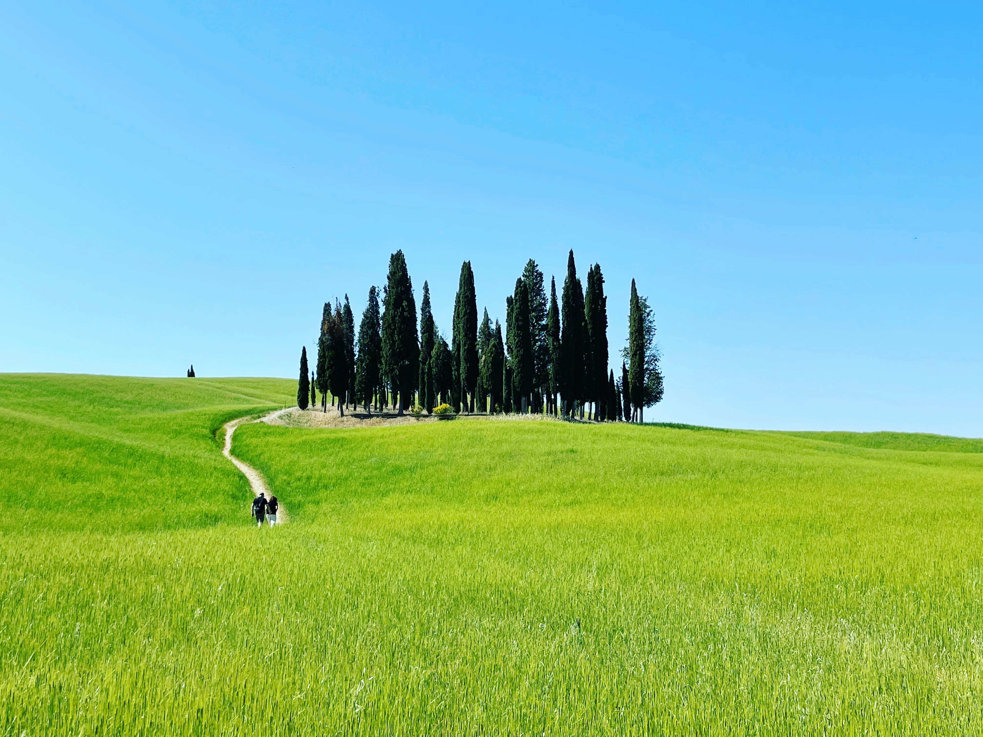 Photo by andfranchini