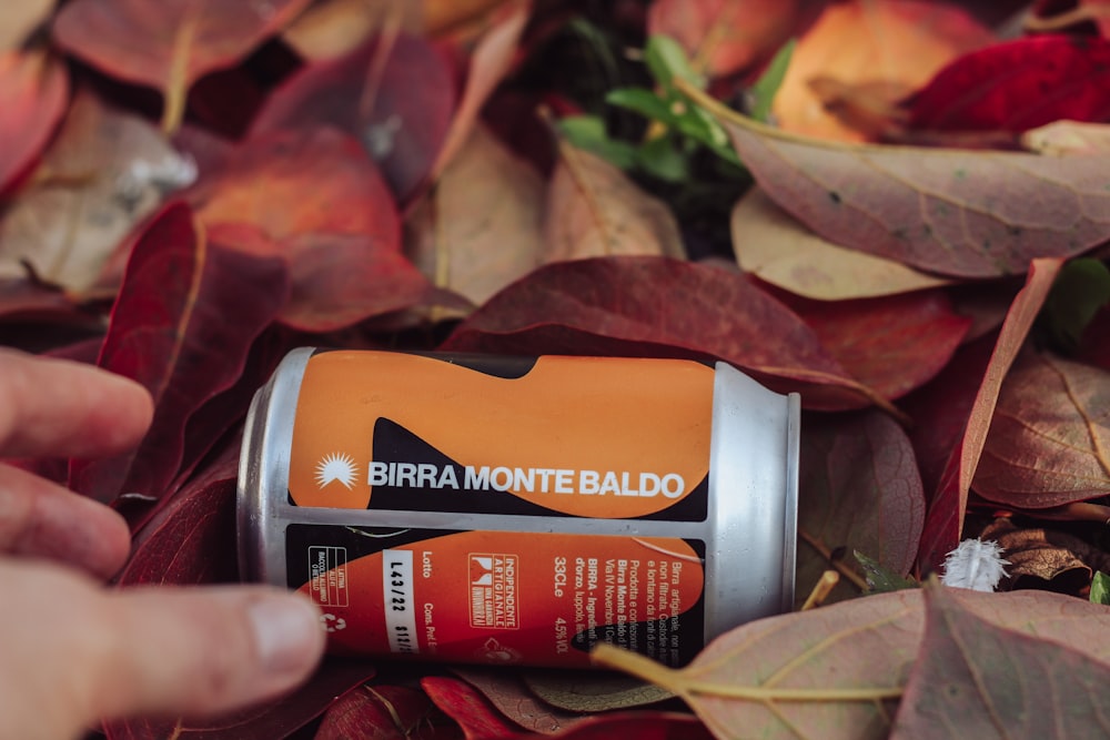 a can of birra monte baldo on a bed of leaves