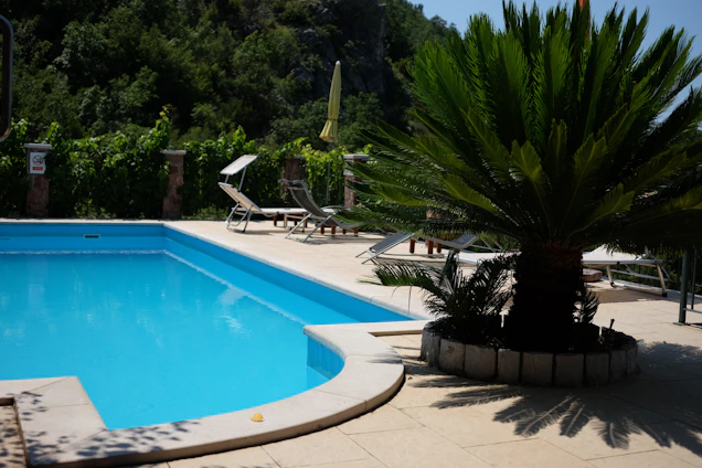 a large swimming pool with lounge chairs and a palm tree