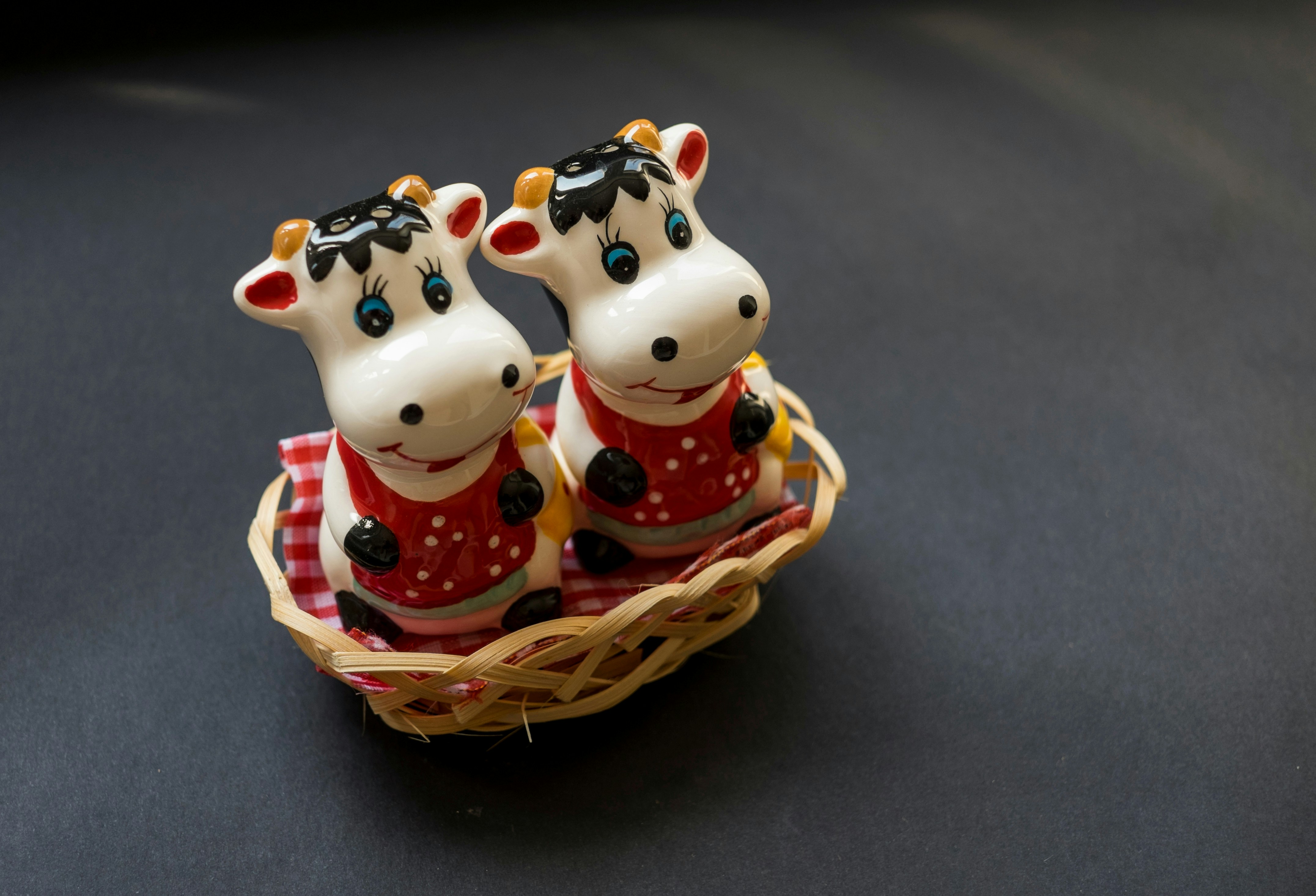 Photo by markojegdic