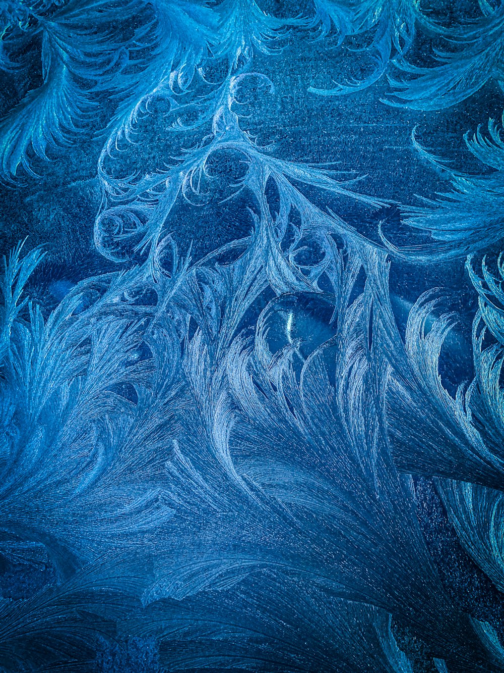 a close up view of a pattern of blue feathers