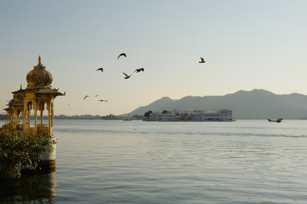 a flock of birds flying over a body of water