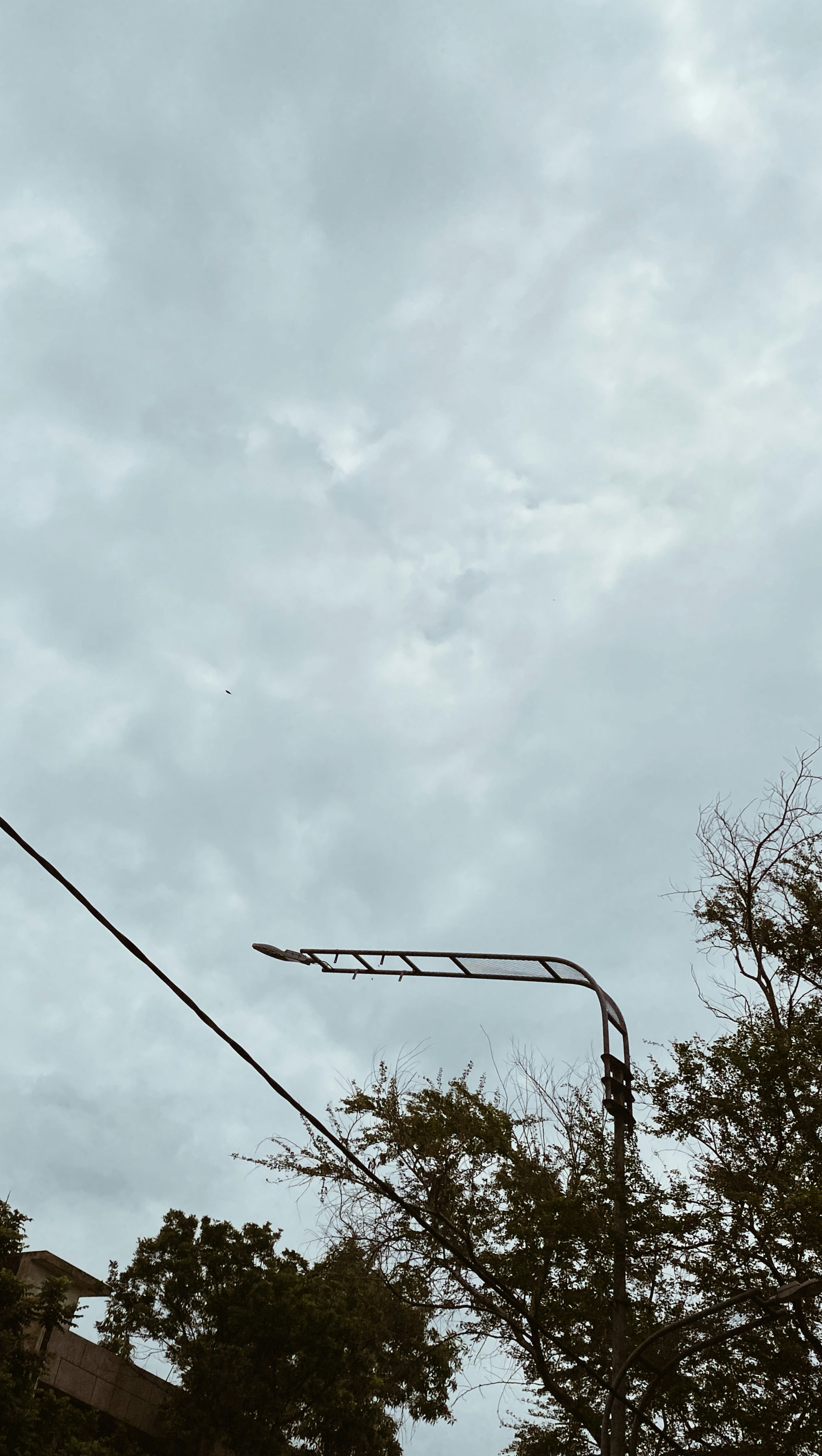 Photo by thelittlesister