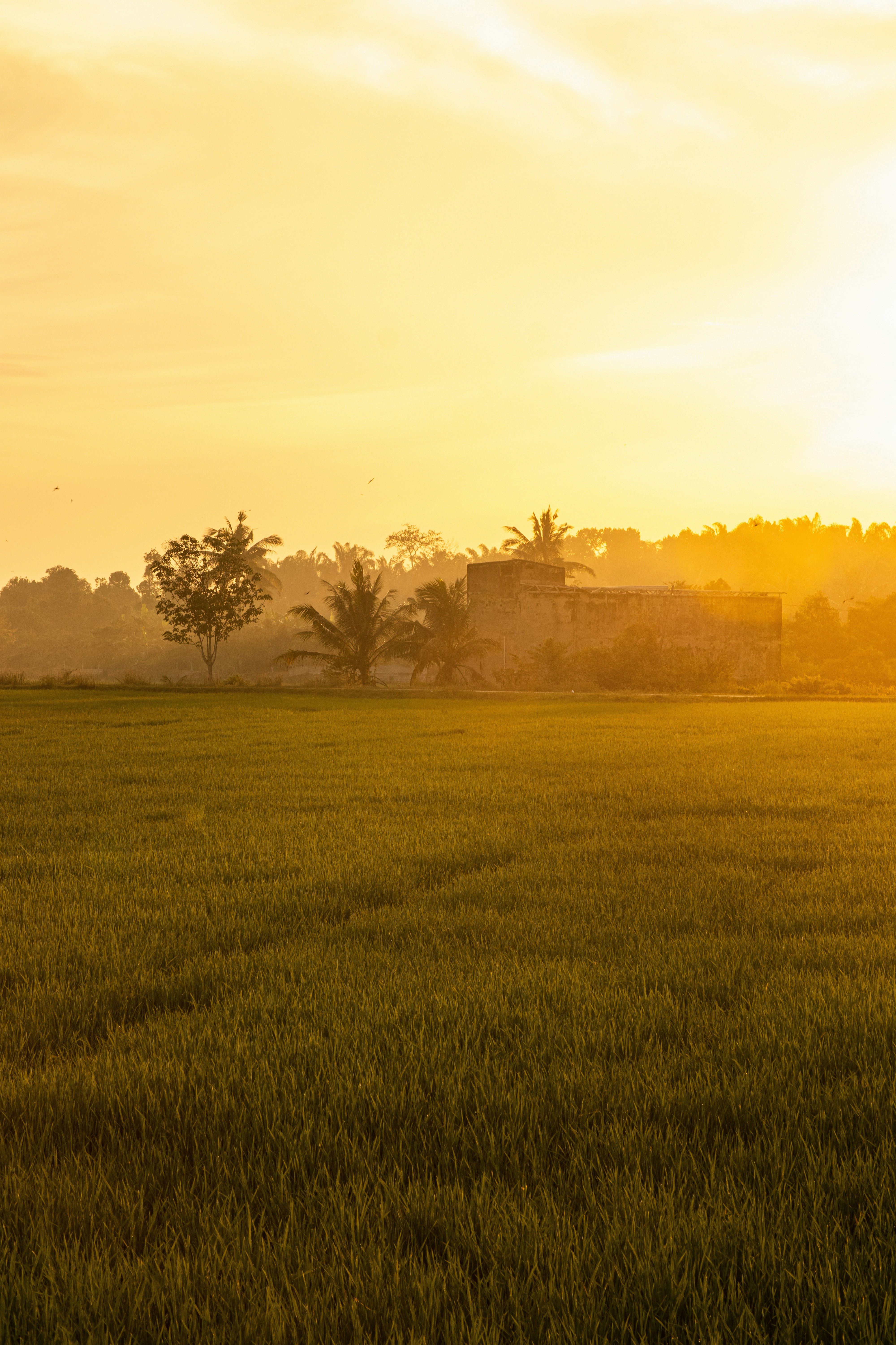 Photo by loghendhiran