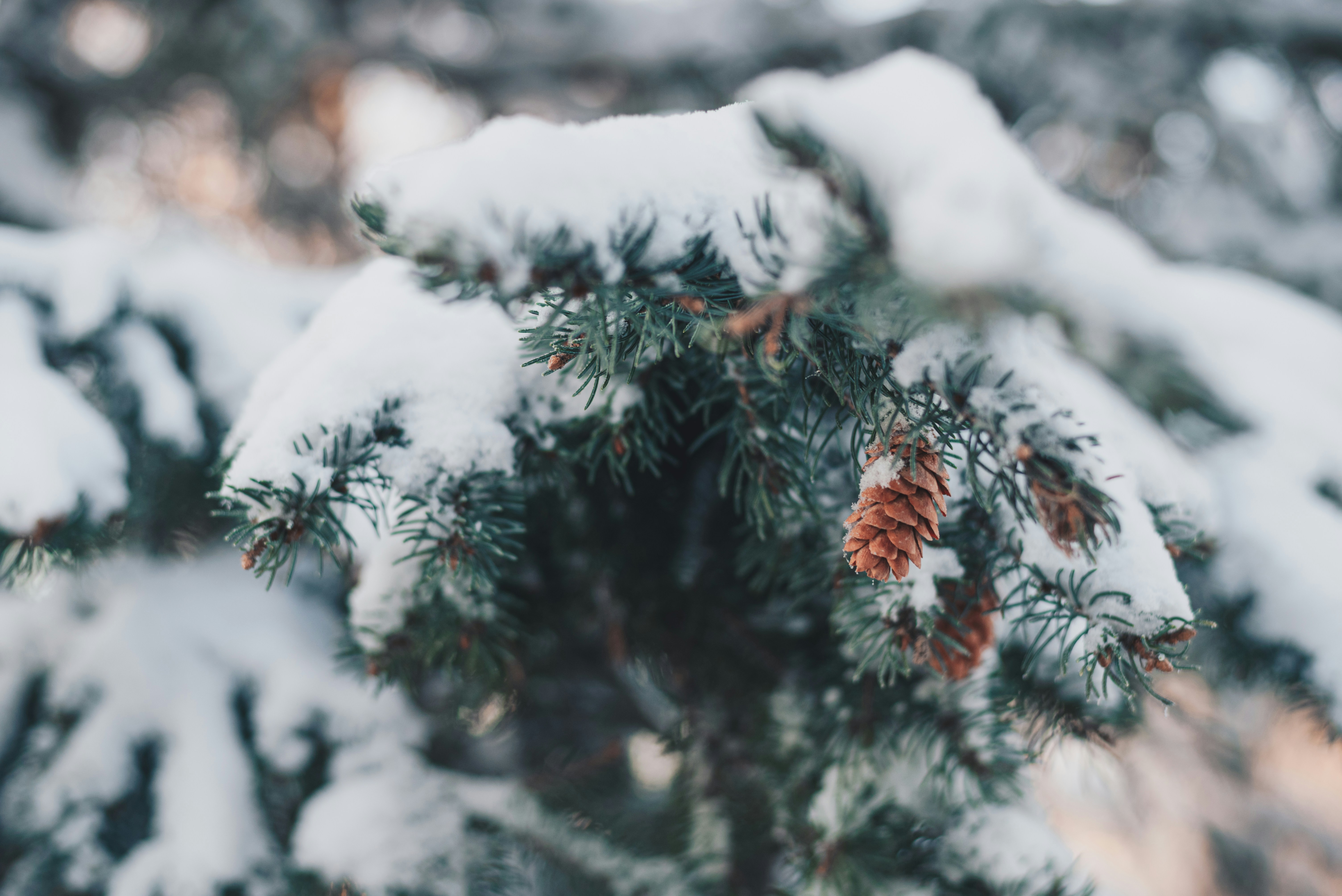 Photo by libby_penner