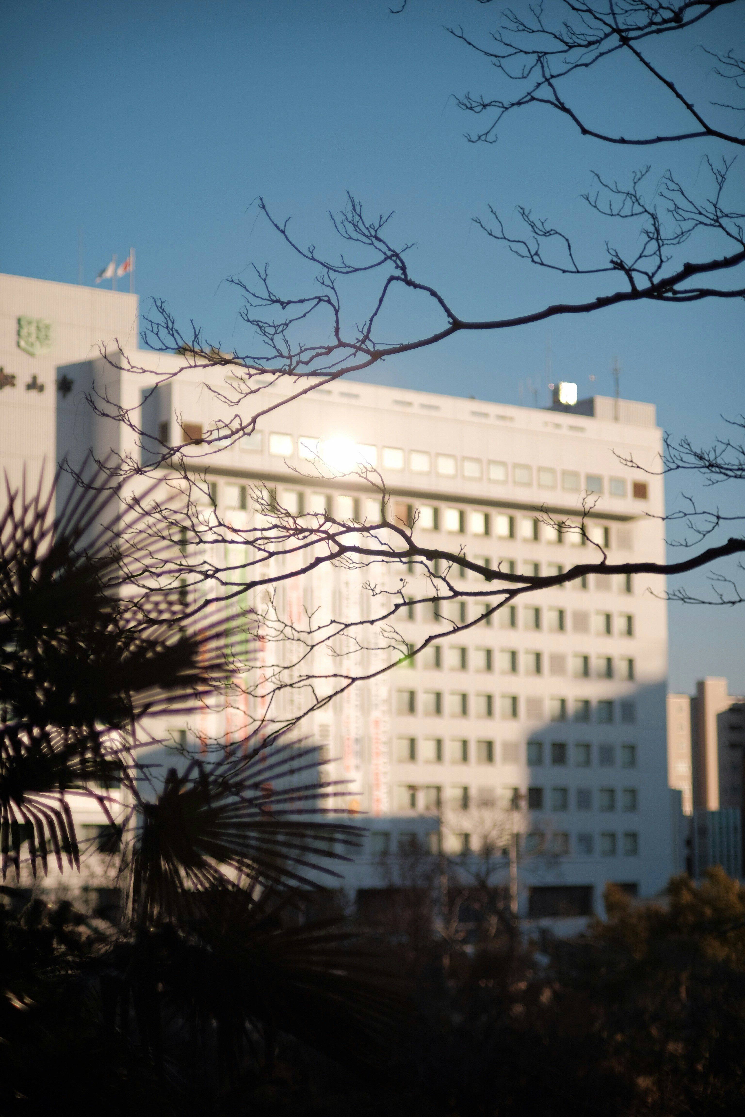 This biotech stock has jumped nearly 50% in 3 months. Its CEO says business is 'growing substantially'