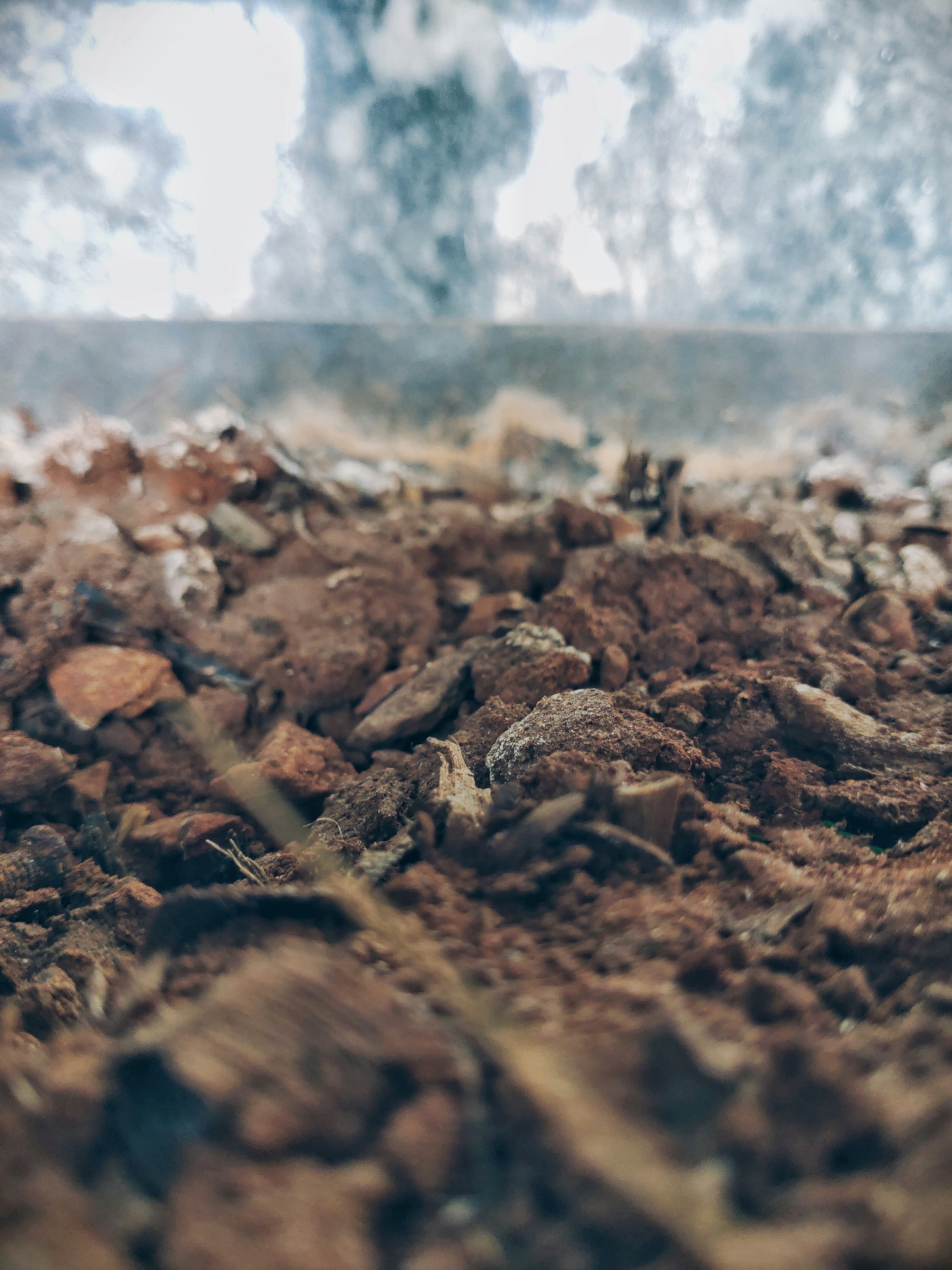 a pile of dirt with a blurry background