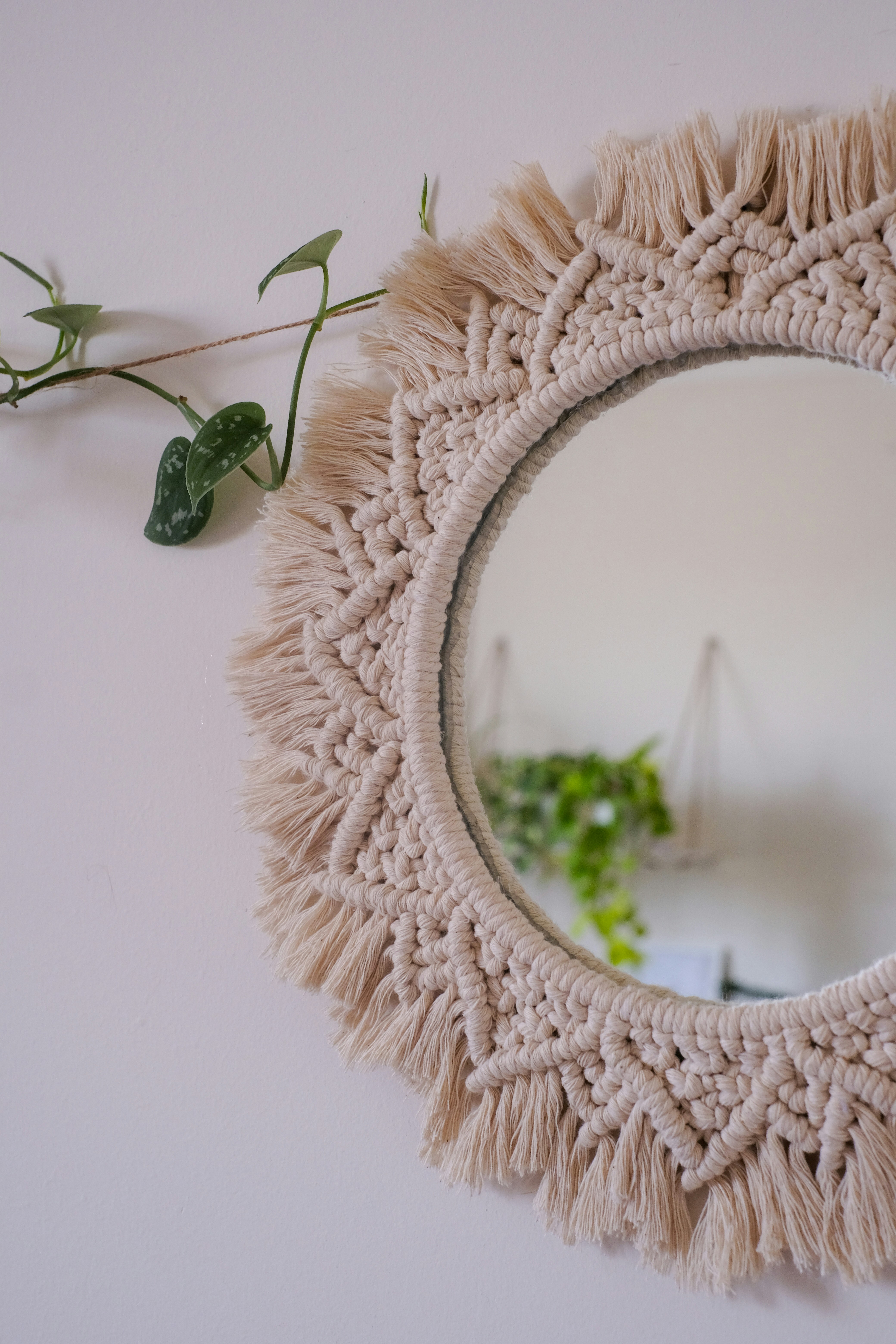 a mirror that has a plant in it