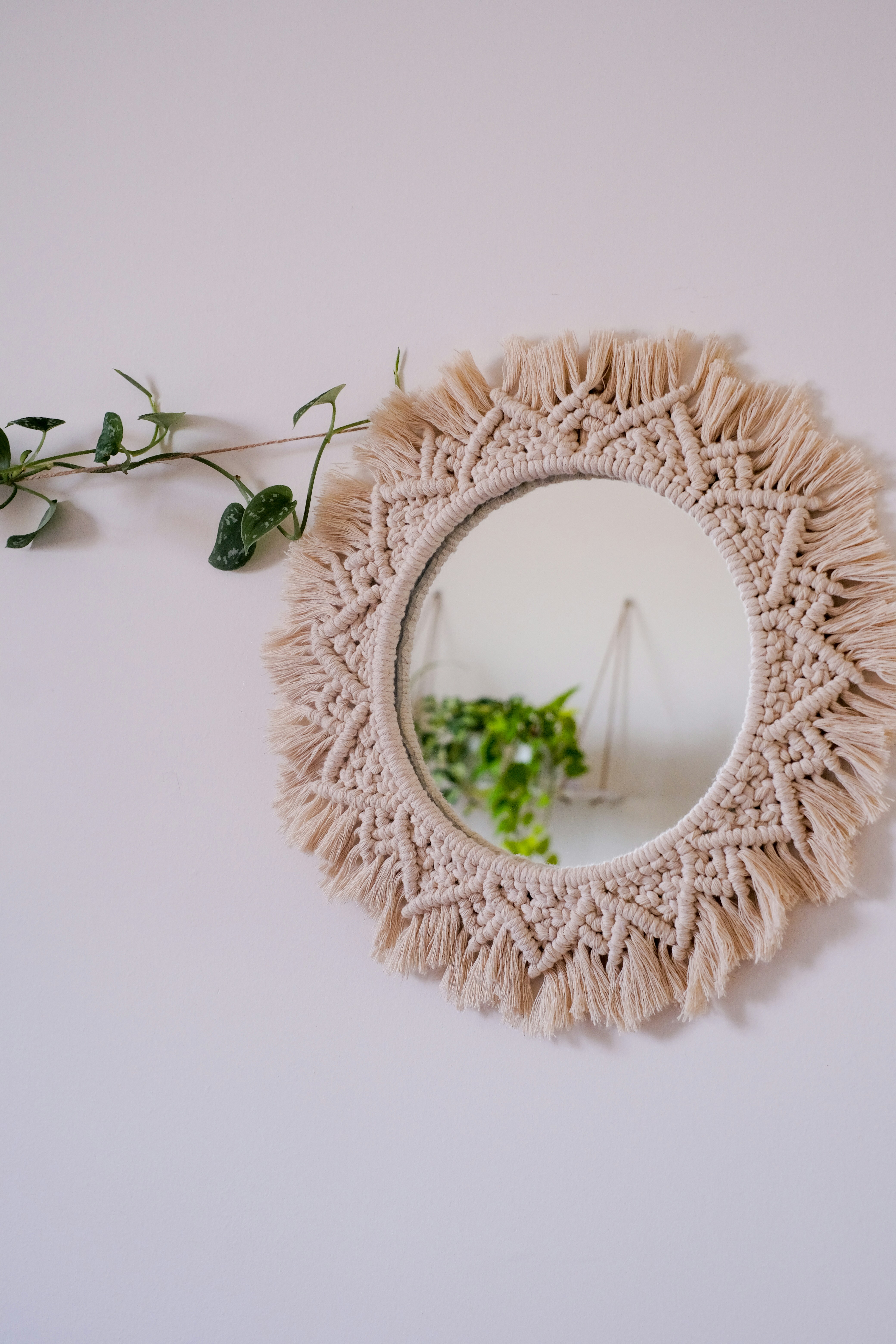 a mirror that is on a wall near a plant