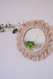 a mirror that is on a wall near a plant