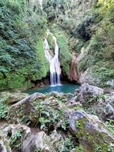 a waterfall in the middle of a lush green forest
