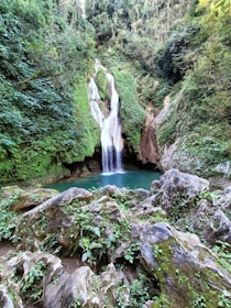 a waterfall in the middle of a lush green forest