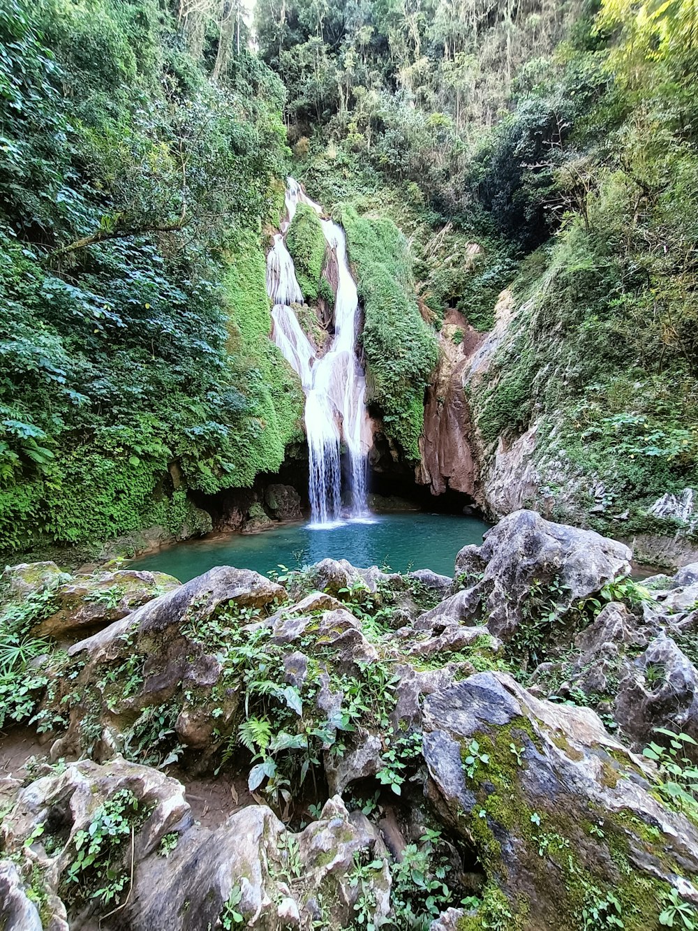 a waterfall in the middle of a lush green forest